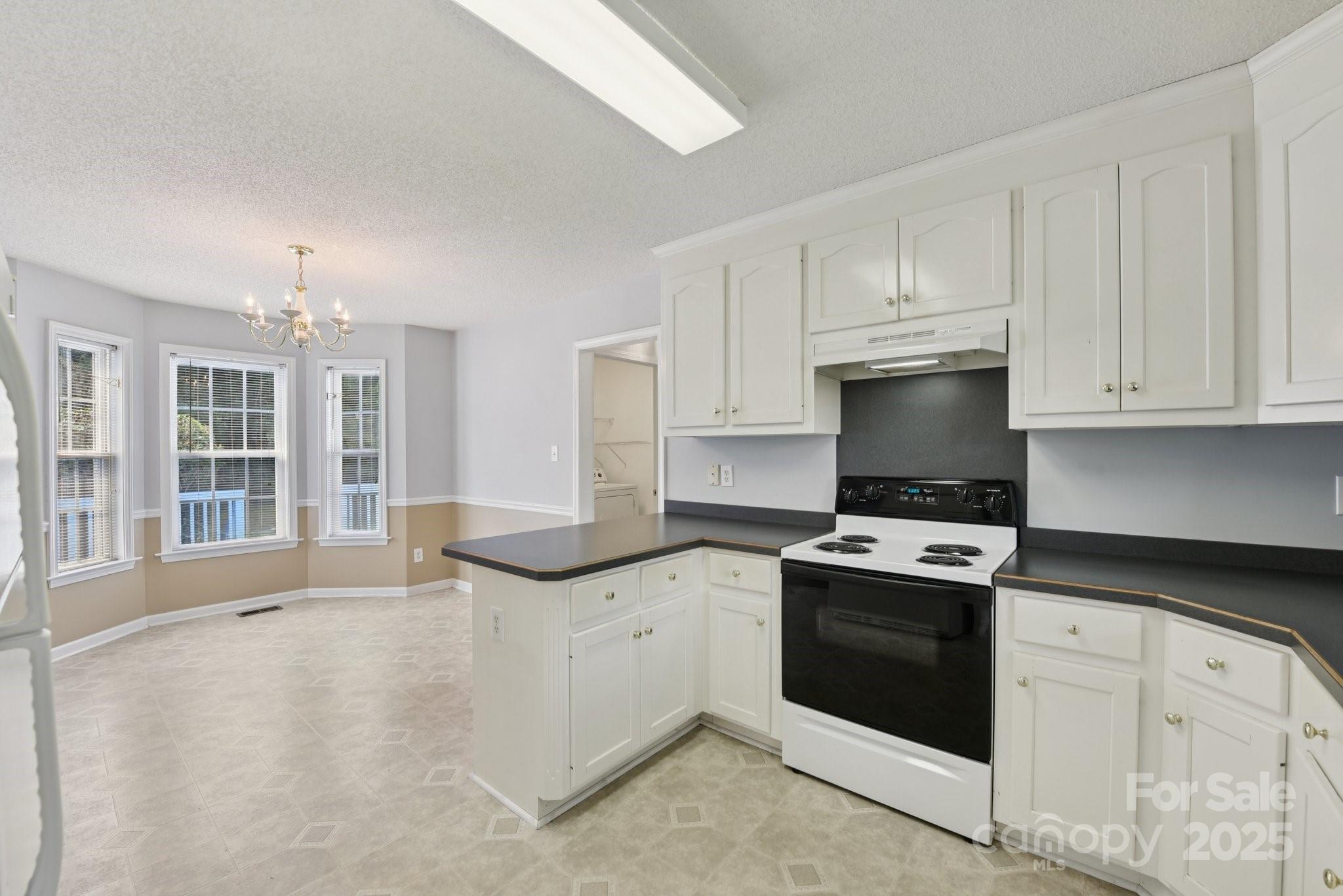 1114 Courtney Cove Court Property Photo 9