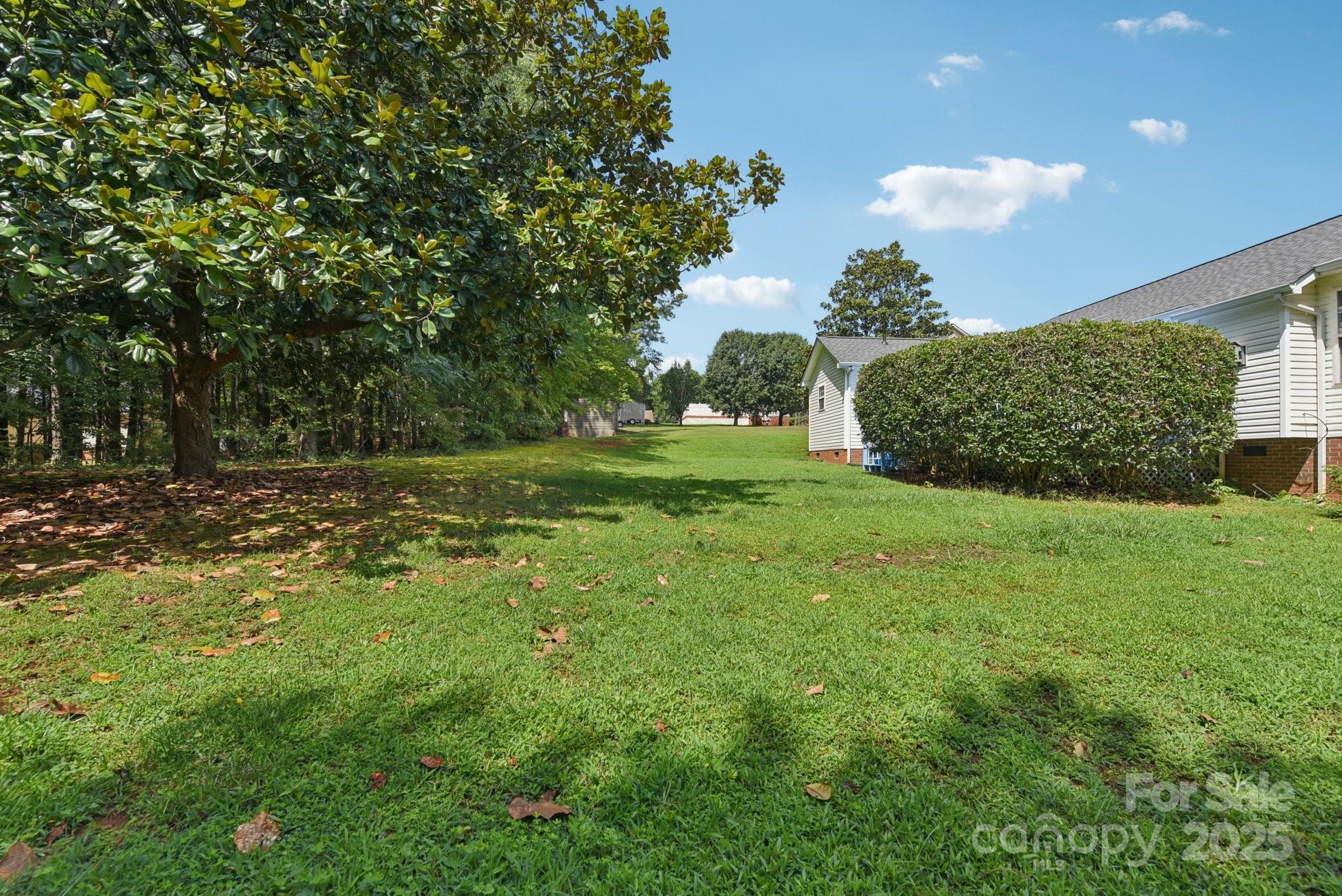 1114 Courtney Cove Court Property Photo 31