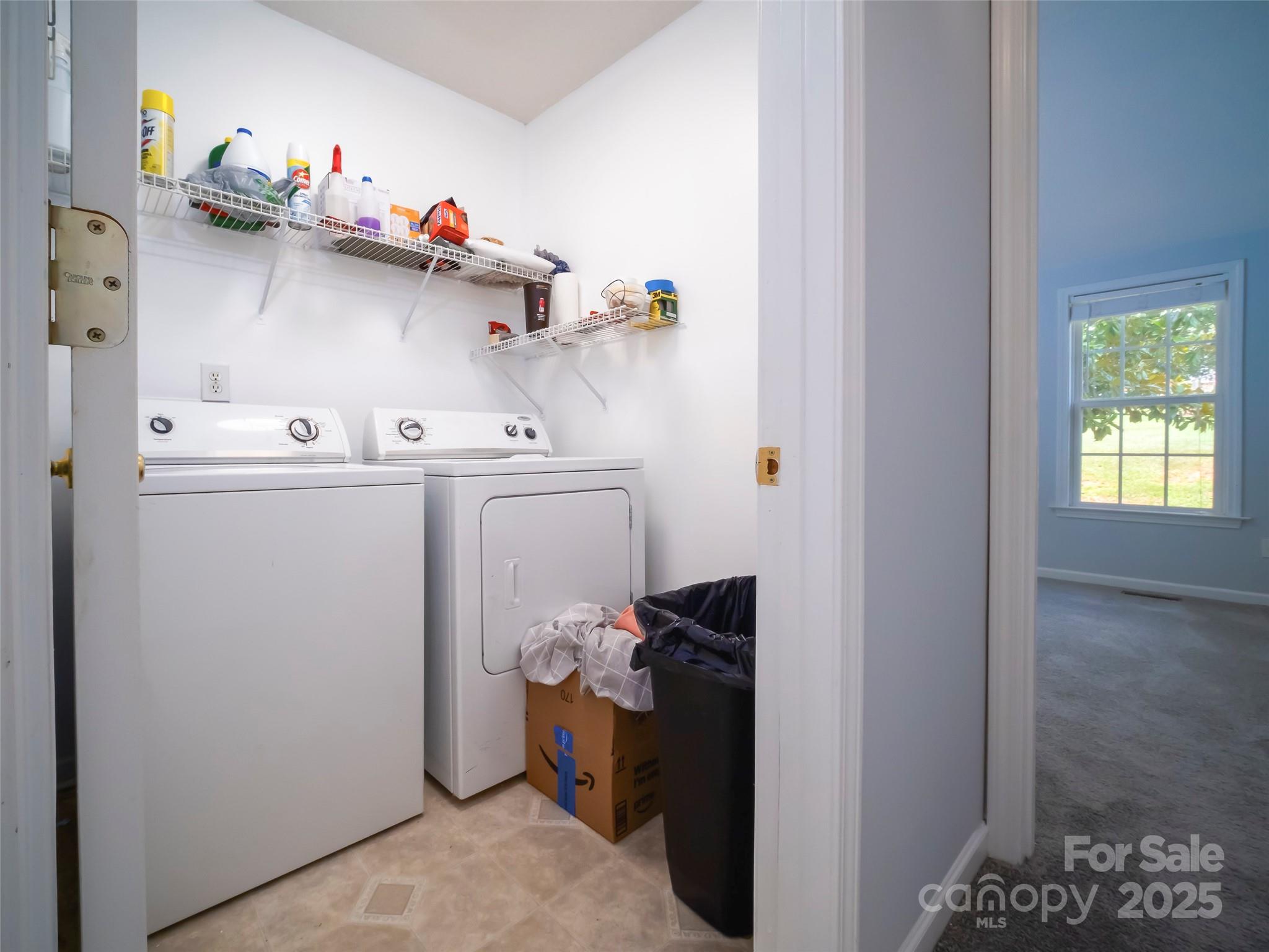 1114 Courtney Cove Court Property Photo 37