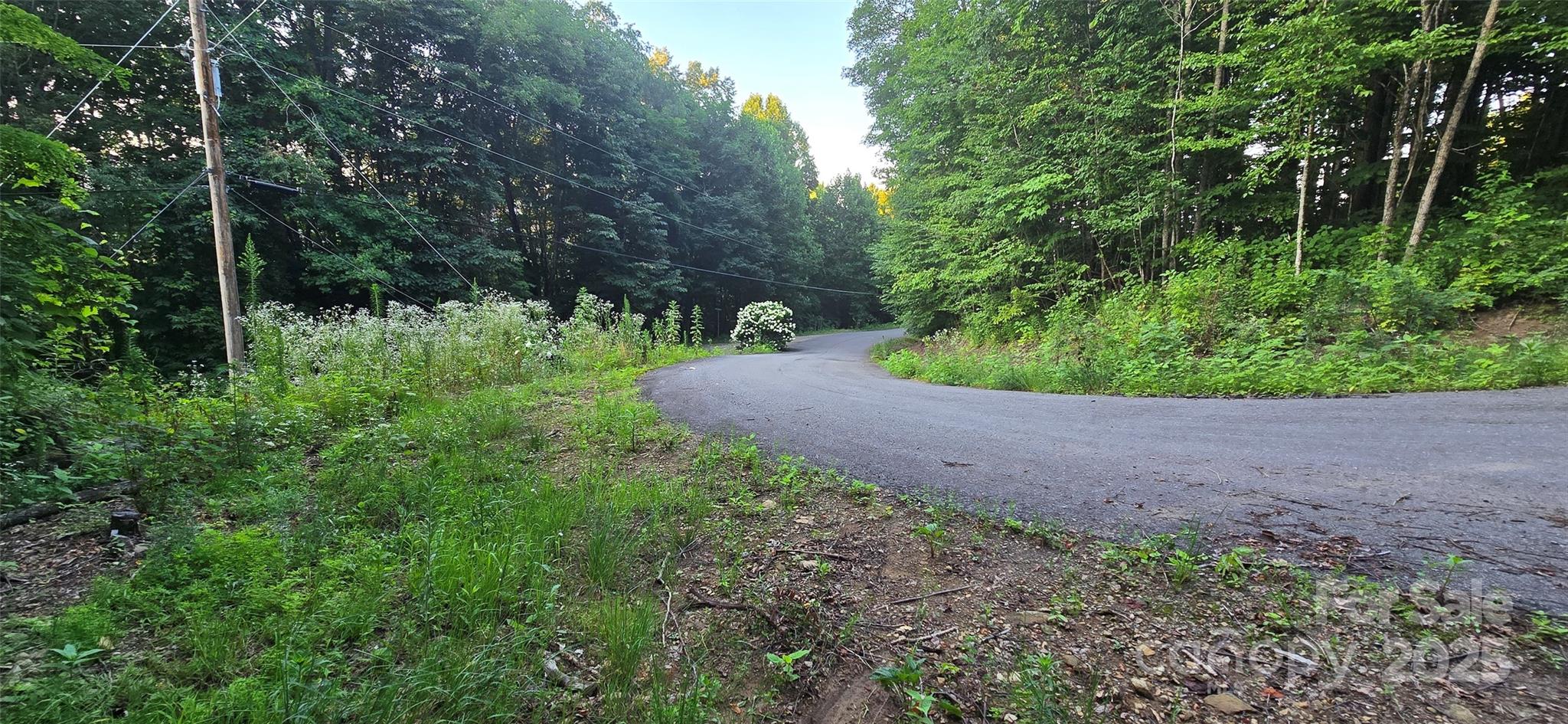 Lot 501 Spellbound Road Property Photo 6