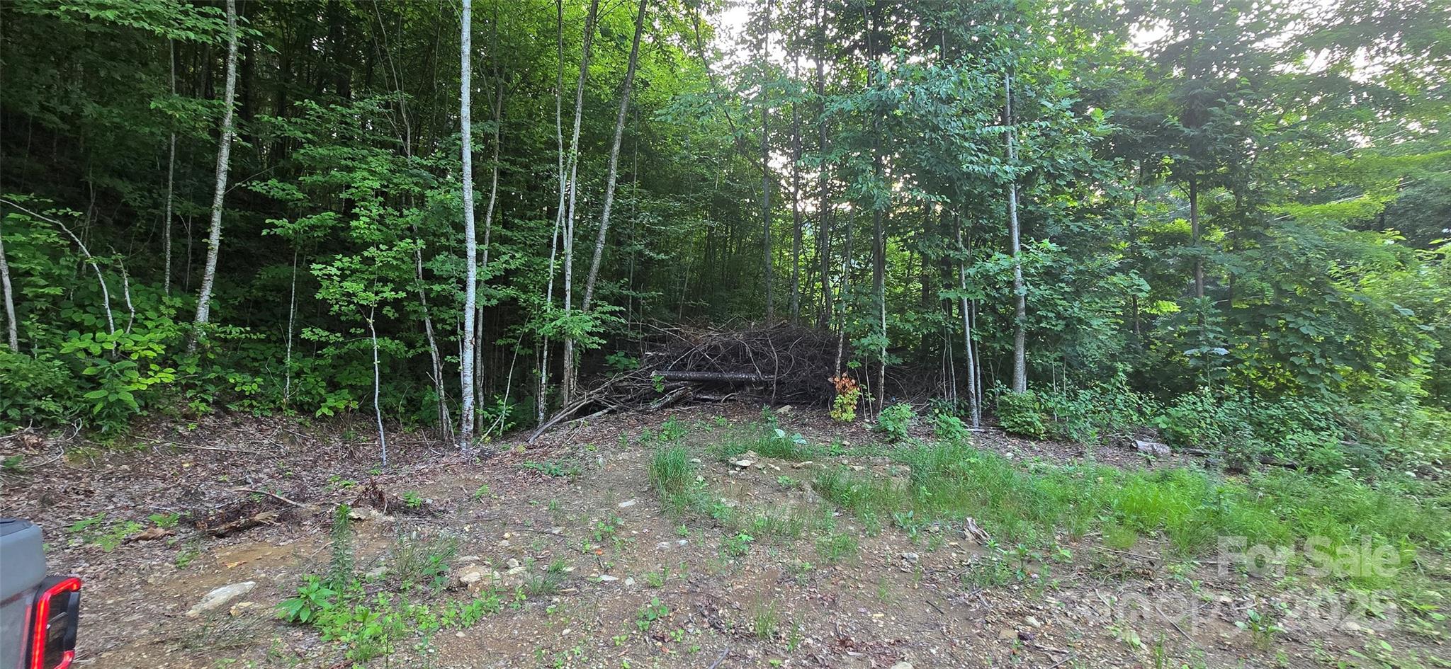 Lot 501 Spellbound Road Property Photo 8
