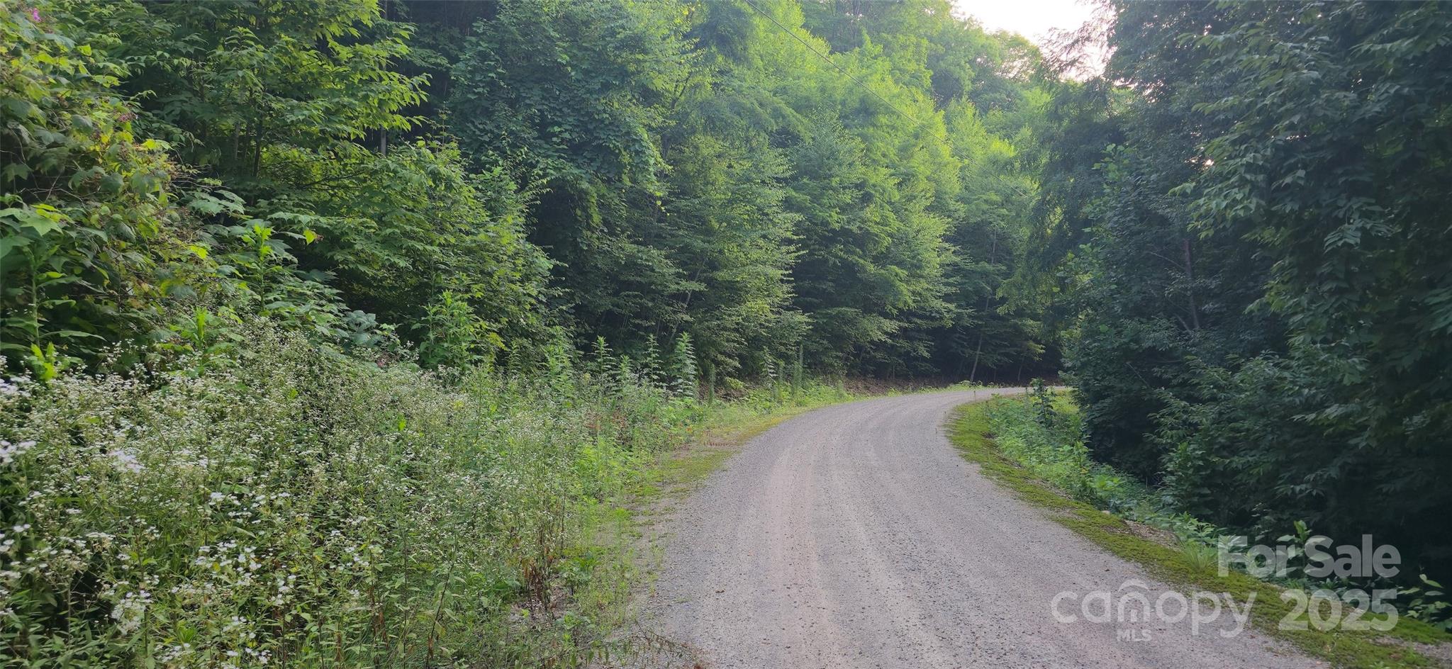 Lot 501 Spellbound Road Property Photo 9
