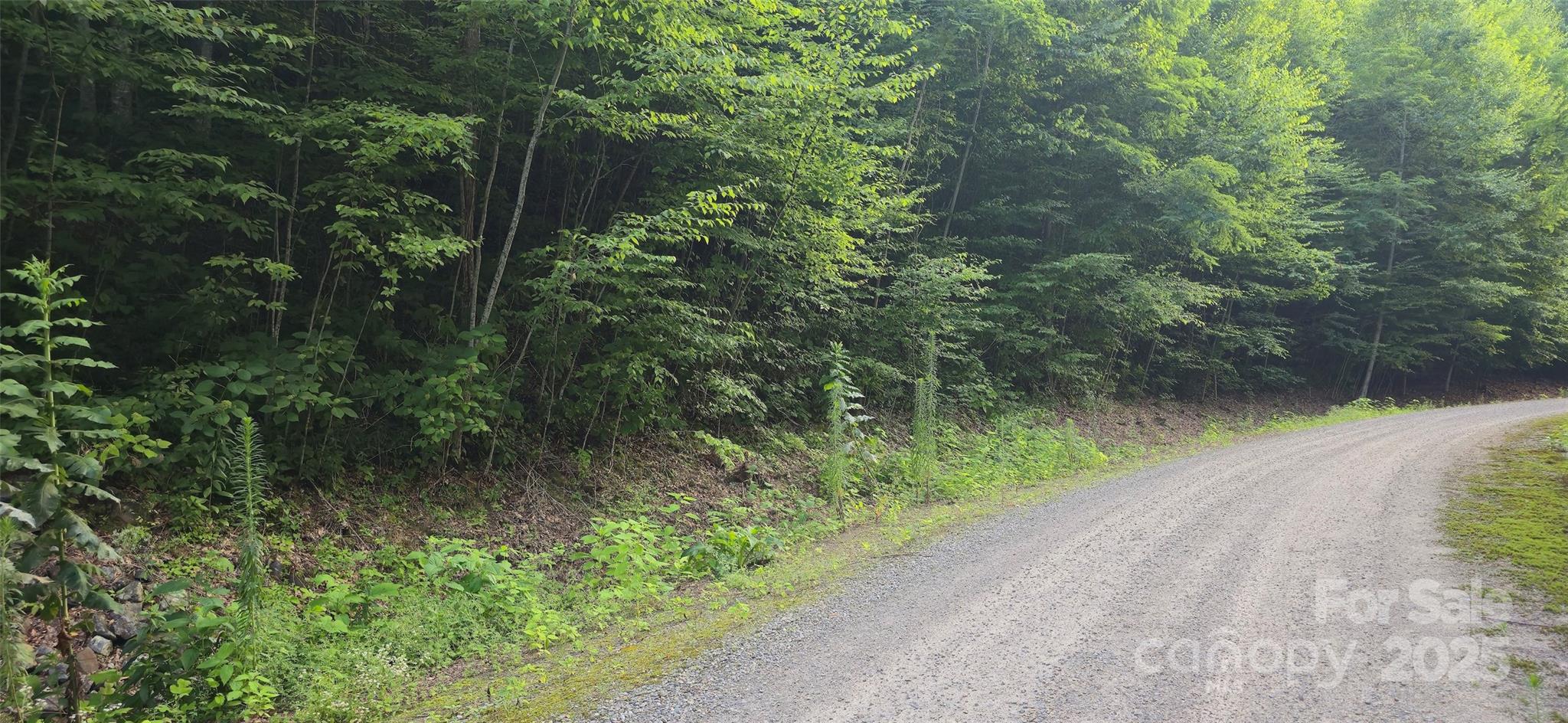 Lot 501 Spellbound Road Property Photo 10