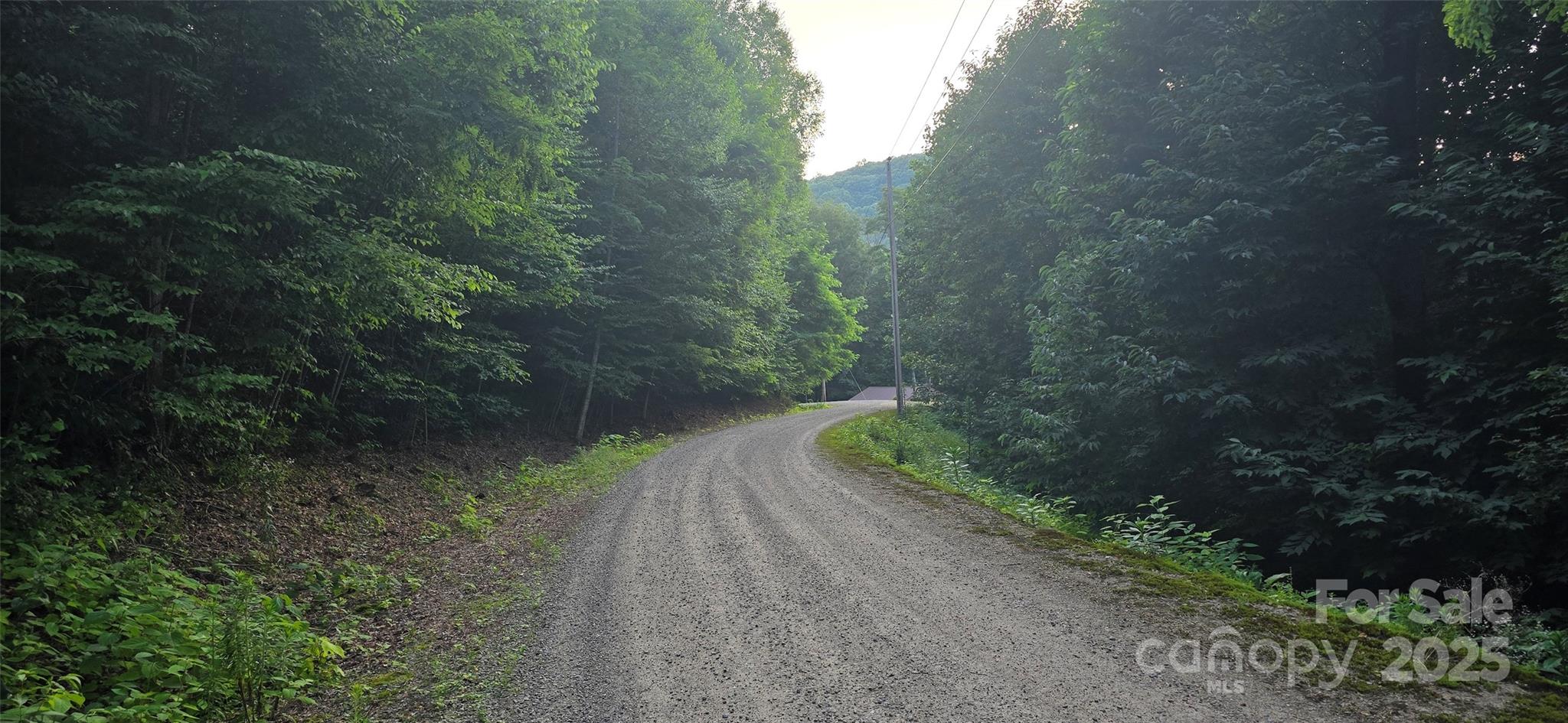 Lot 501 Spellbound Road Property Photo 11