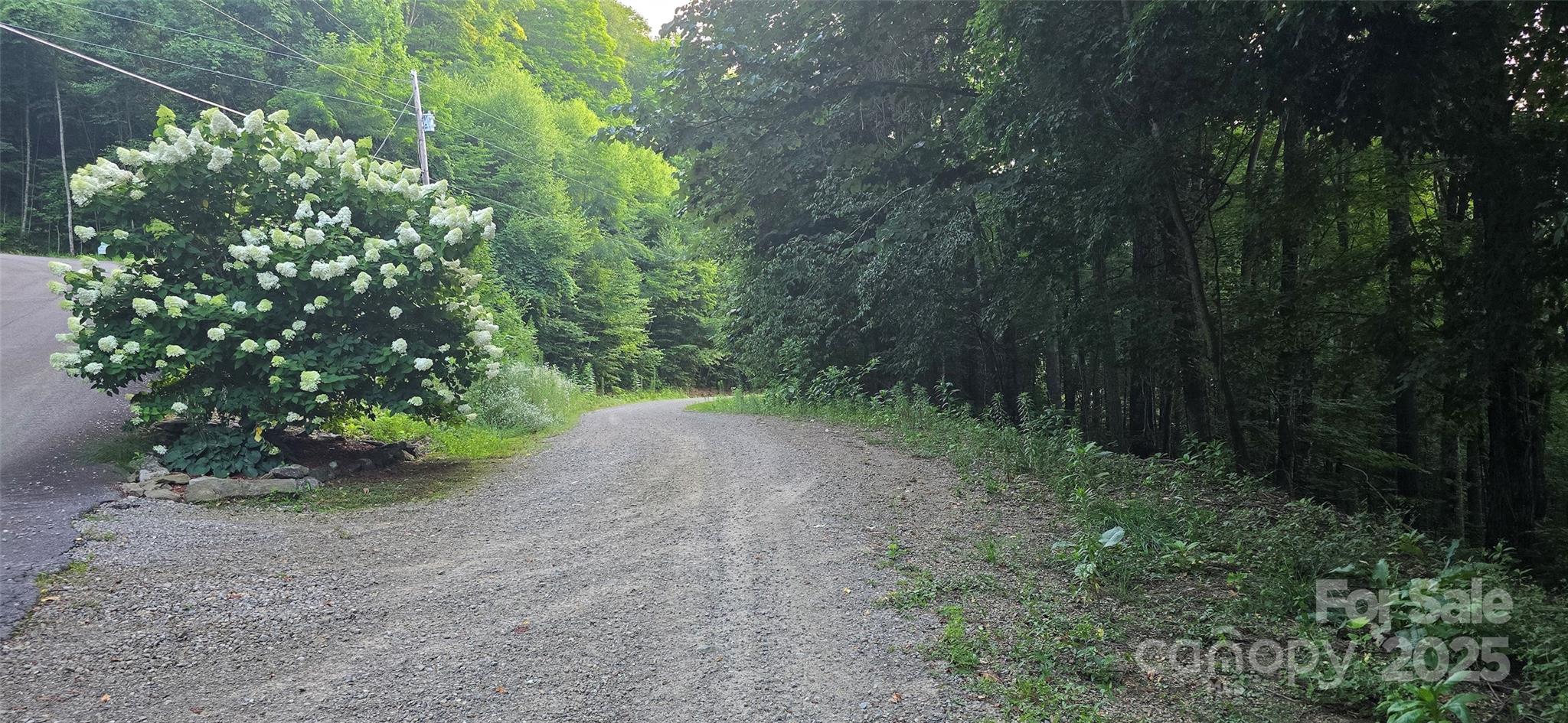 Lot 501 Spellbound Road Property Photo 13