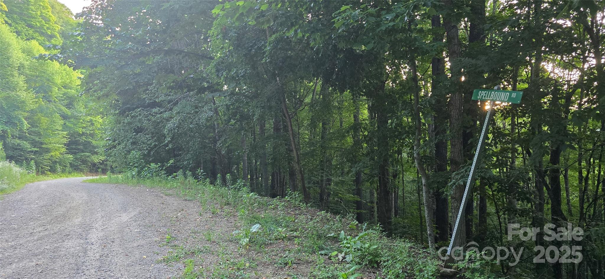 Lot 501 Spellbound Road Property Photo 14