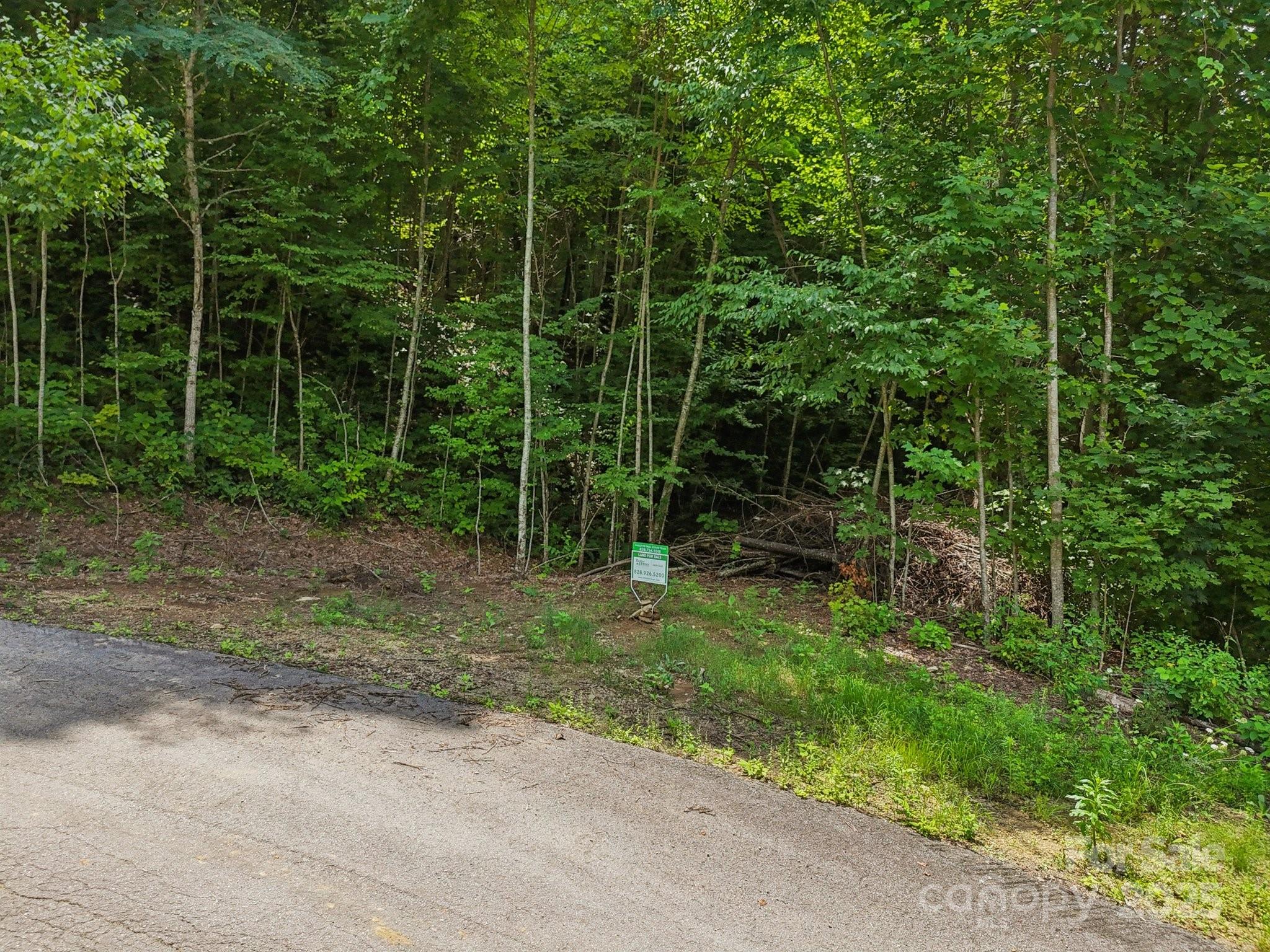 Lot 501 Spellbound Road Property Photo 26