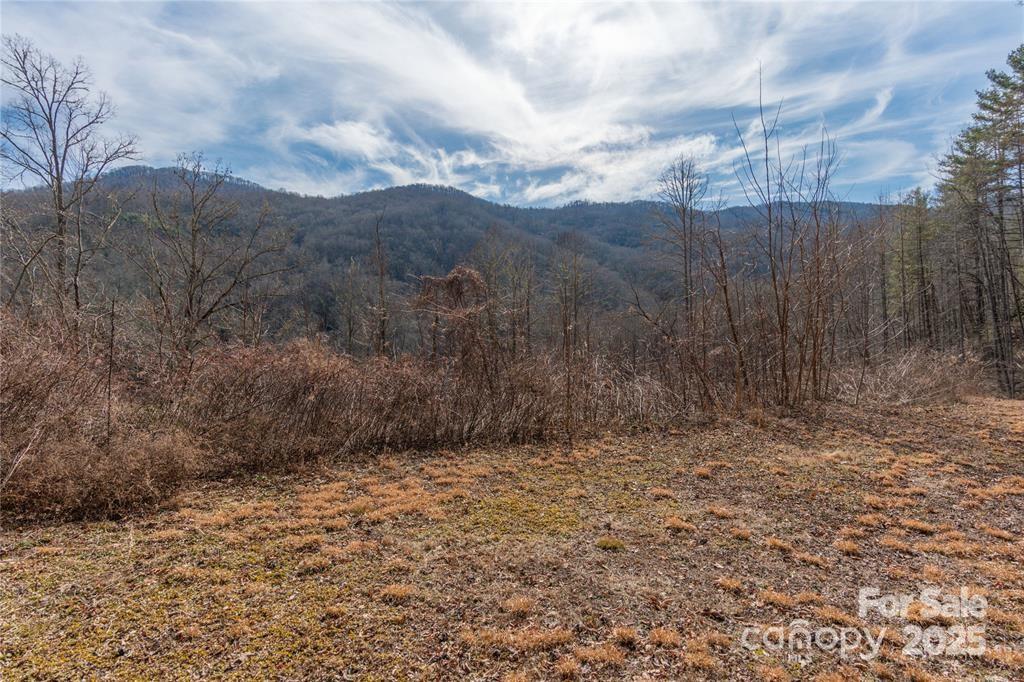 2220 (Tract 2) Tilley Creek Road