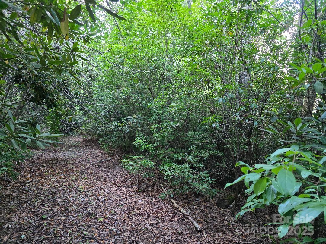 Lot 2 Pine Ridge Road Property Photo 1