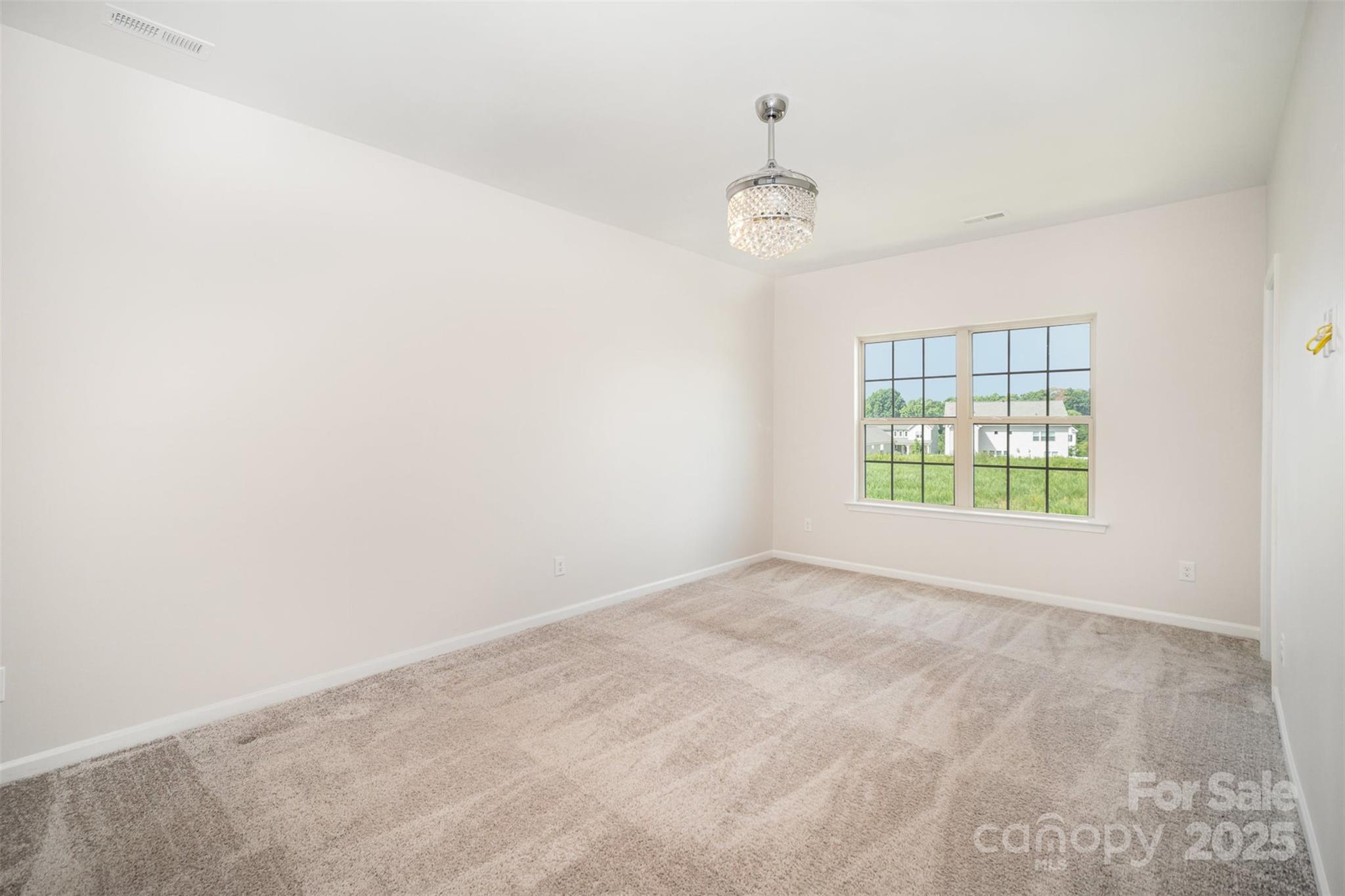 10045 Carousel Corral Drive Property Photo 16