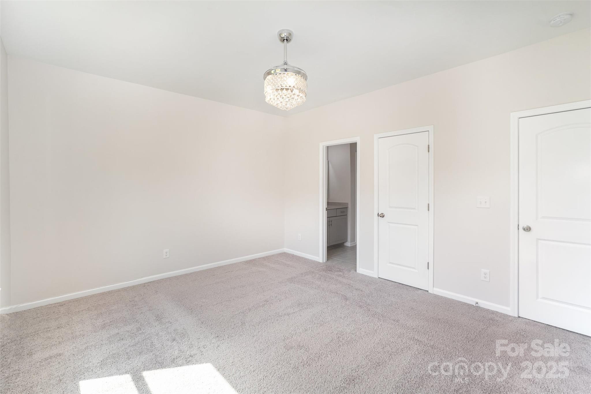 10045 Carousel Corral Drive Property Photo 27