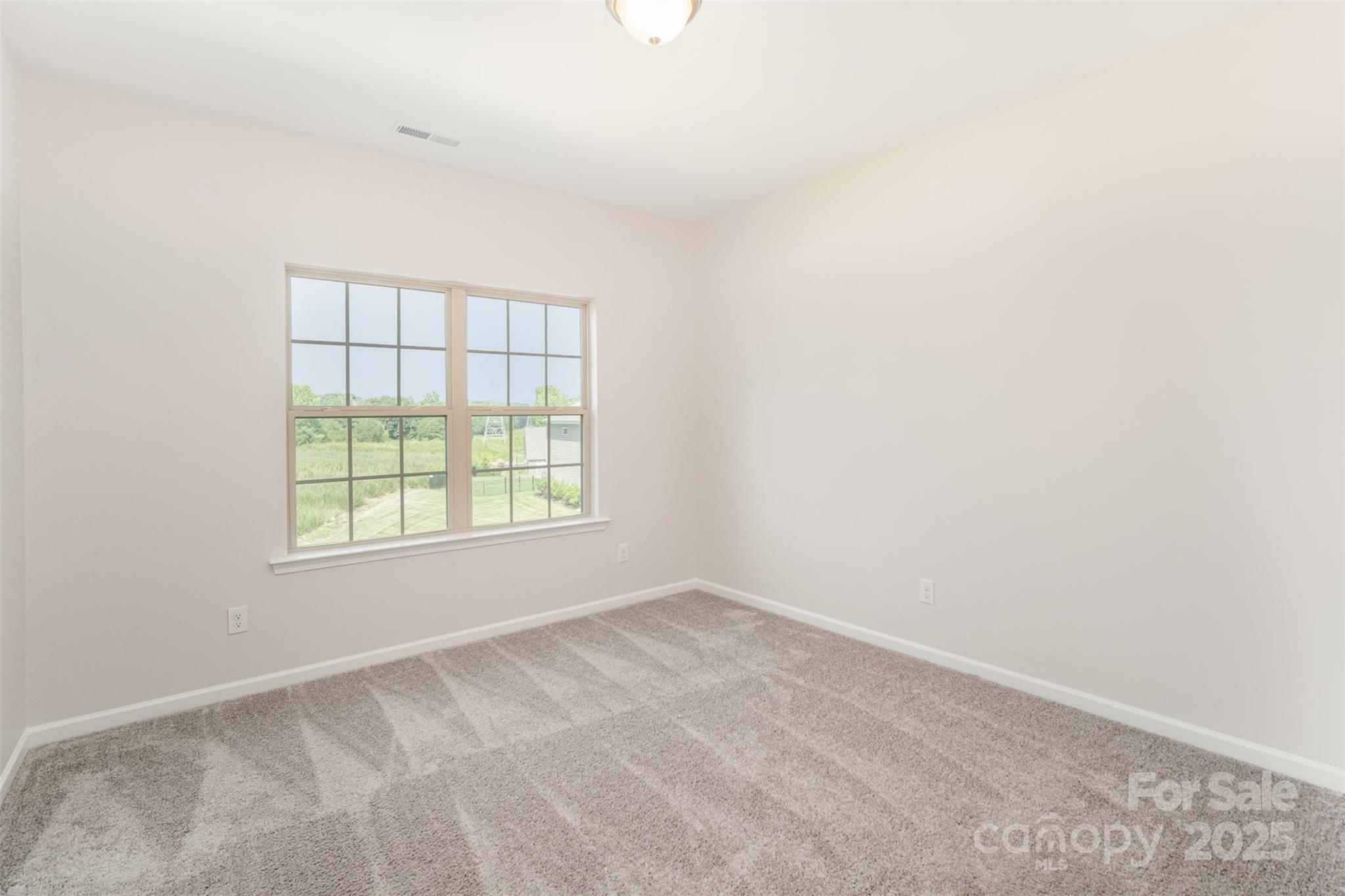 10045 Carousel Corral Drive Property Photo 28