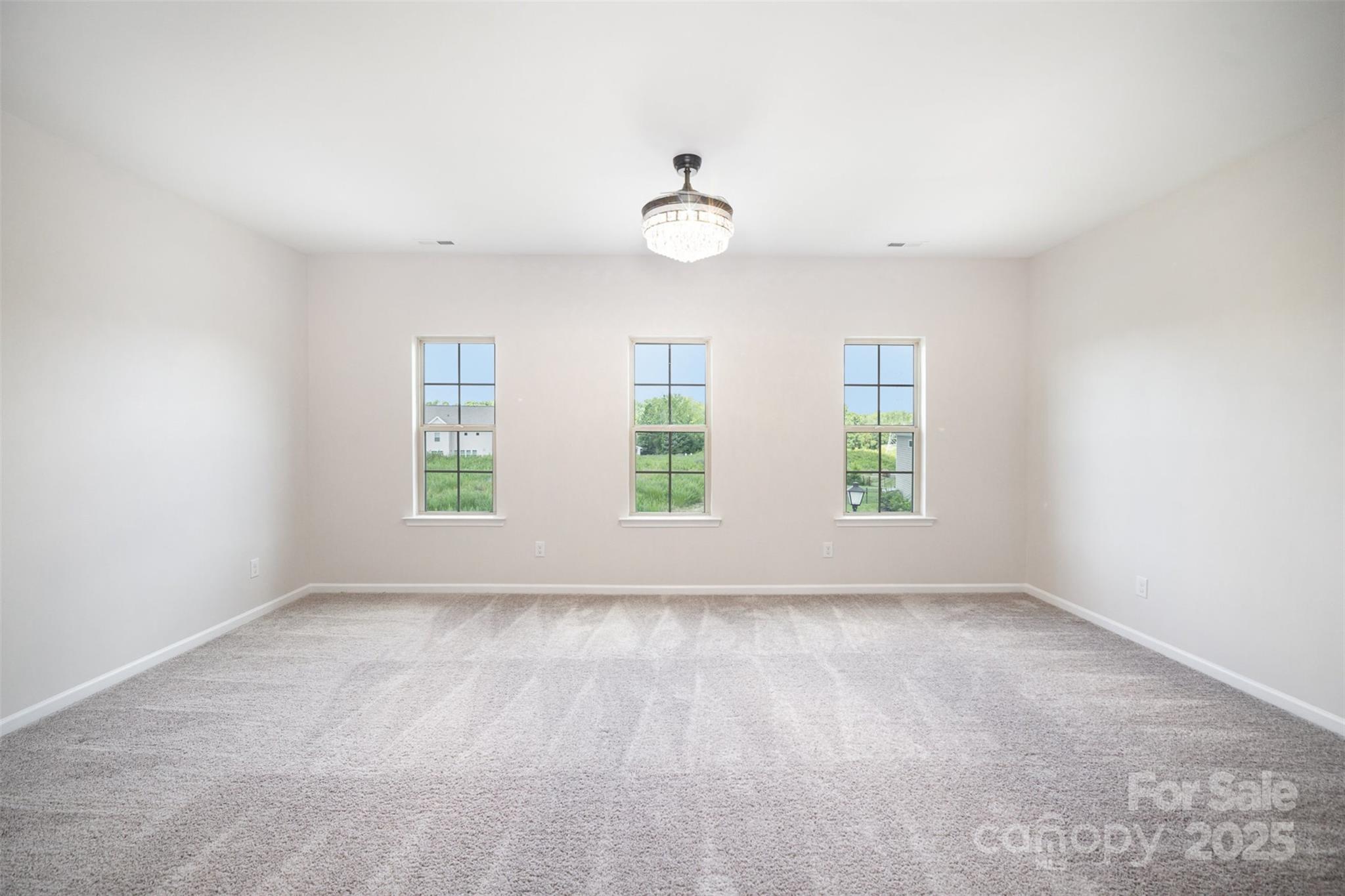 10045 Carousel Corral Drive Property Photo 33