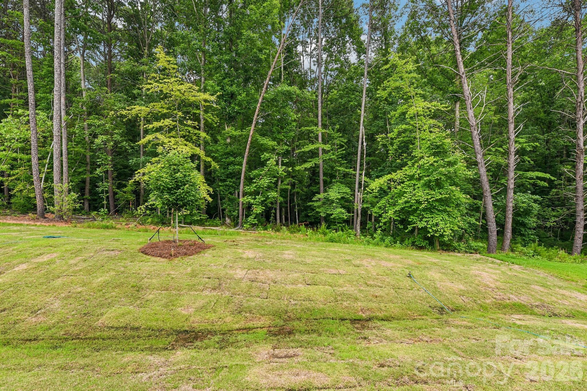 153 Asmodean Lane Property Photo 40