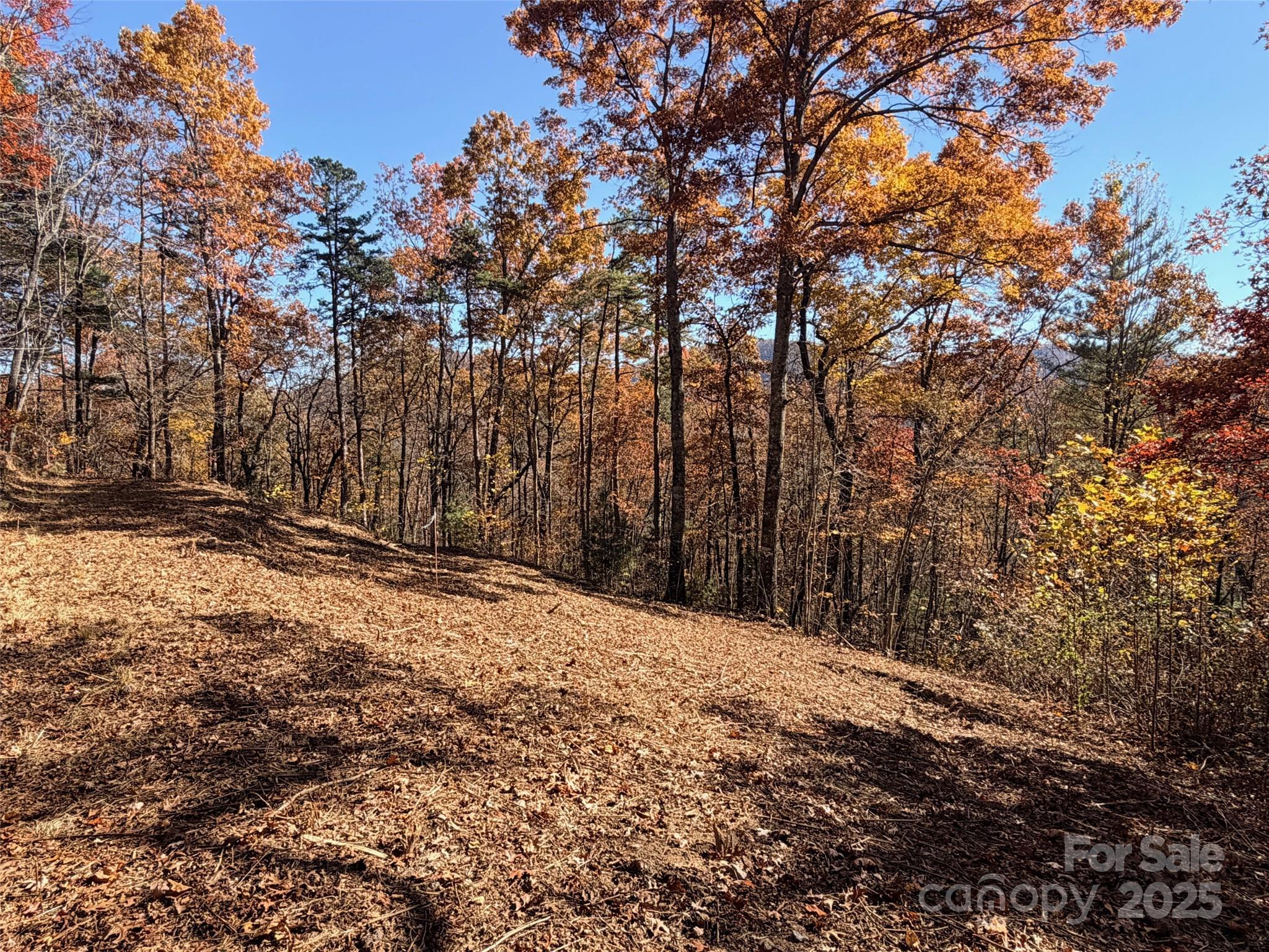 130 Brown Bear Ridge Trail Property Photo 1