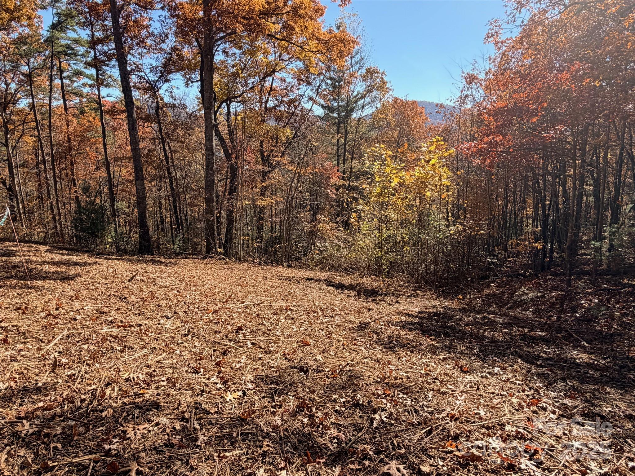 130 Brown Bear Ridge Trail Property Photo 2