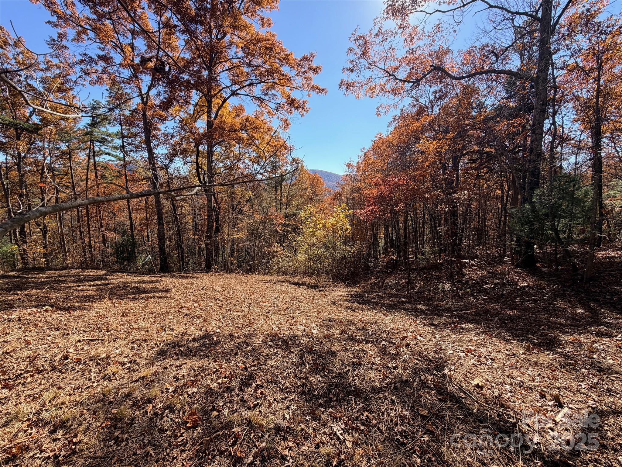130 Brown Bear Ridge Trail Property Photo 3