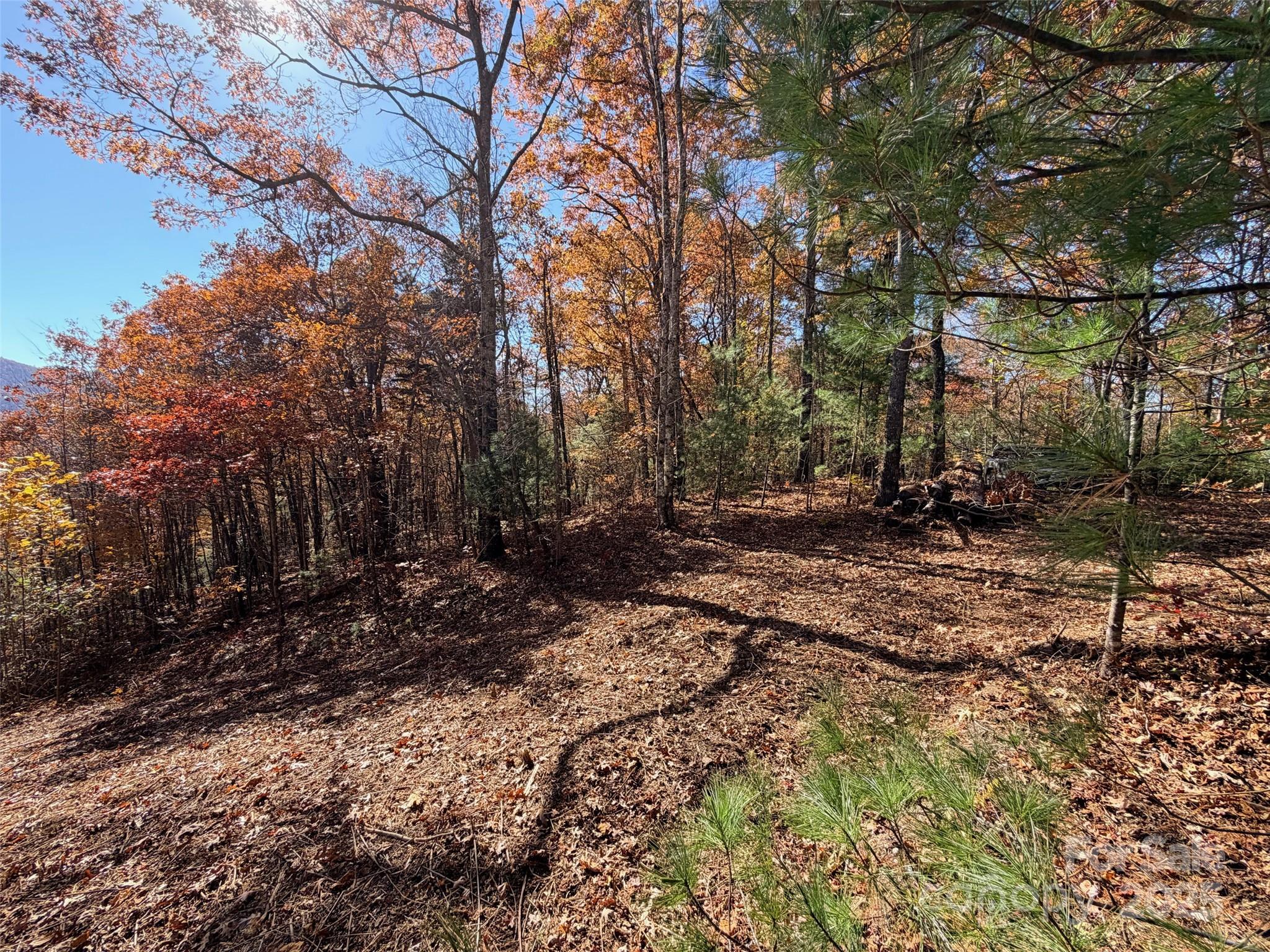 130 Brown Bear Ridge Trail Property Photo 4