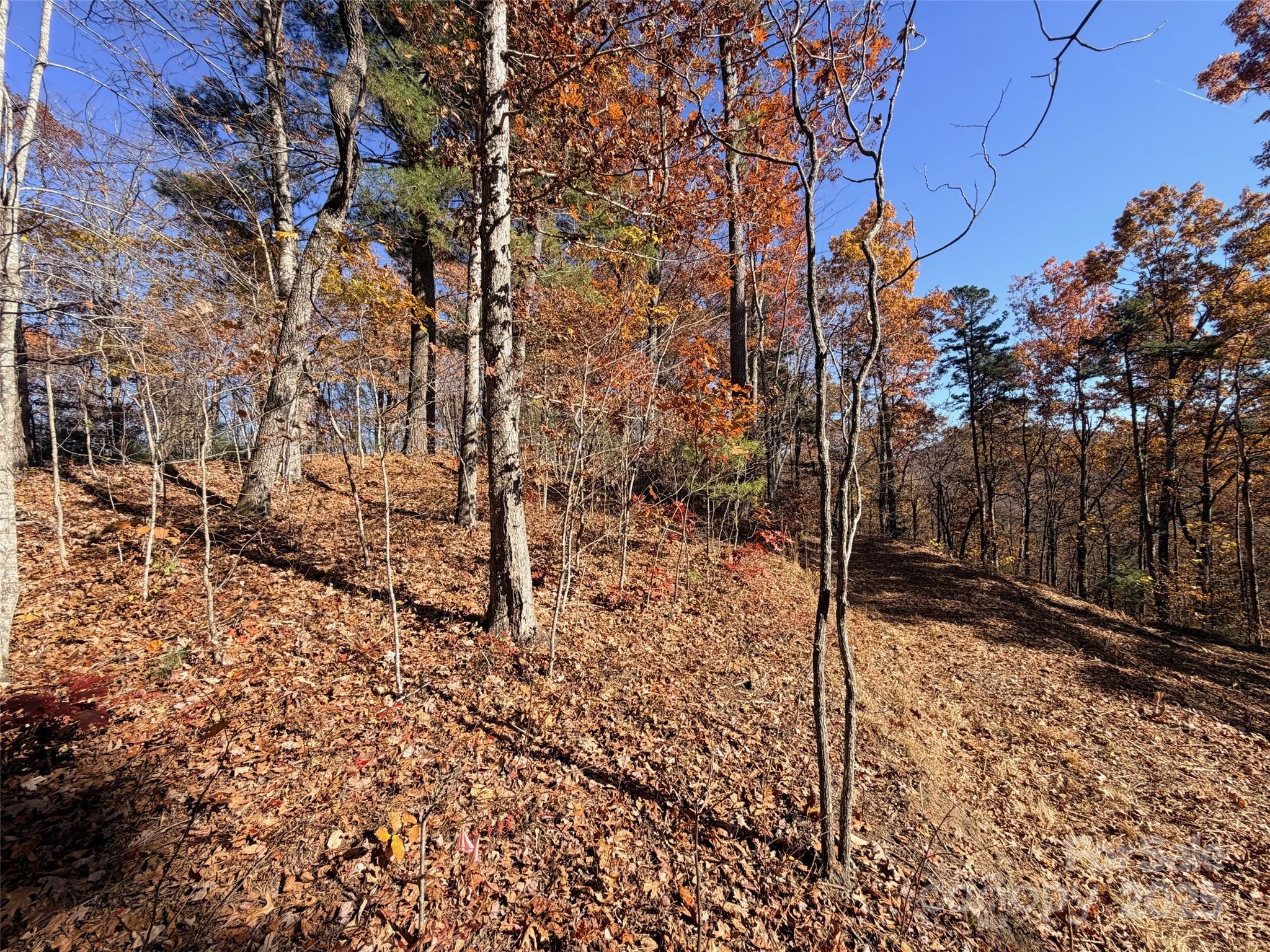 130 Brown Bear Ridge Trail Property Photo 5