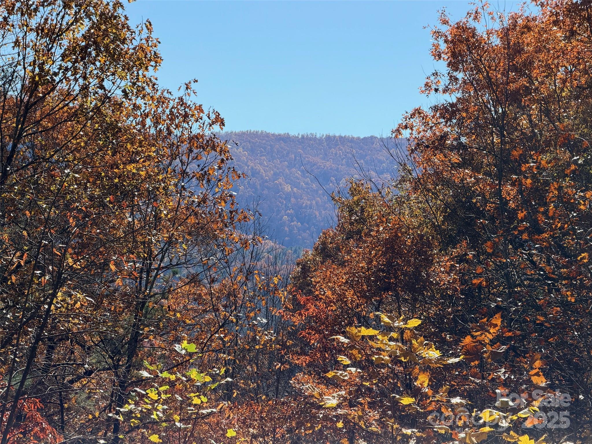 130 Brown Bear Ridge Trail Property Photo 6