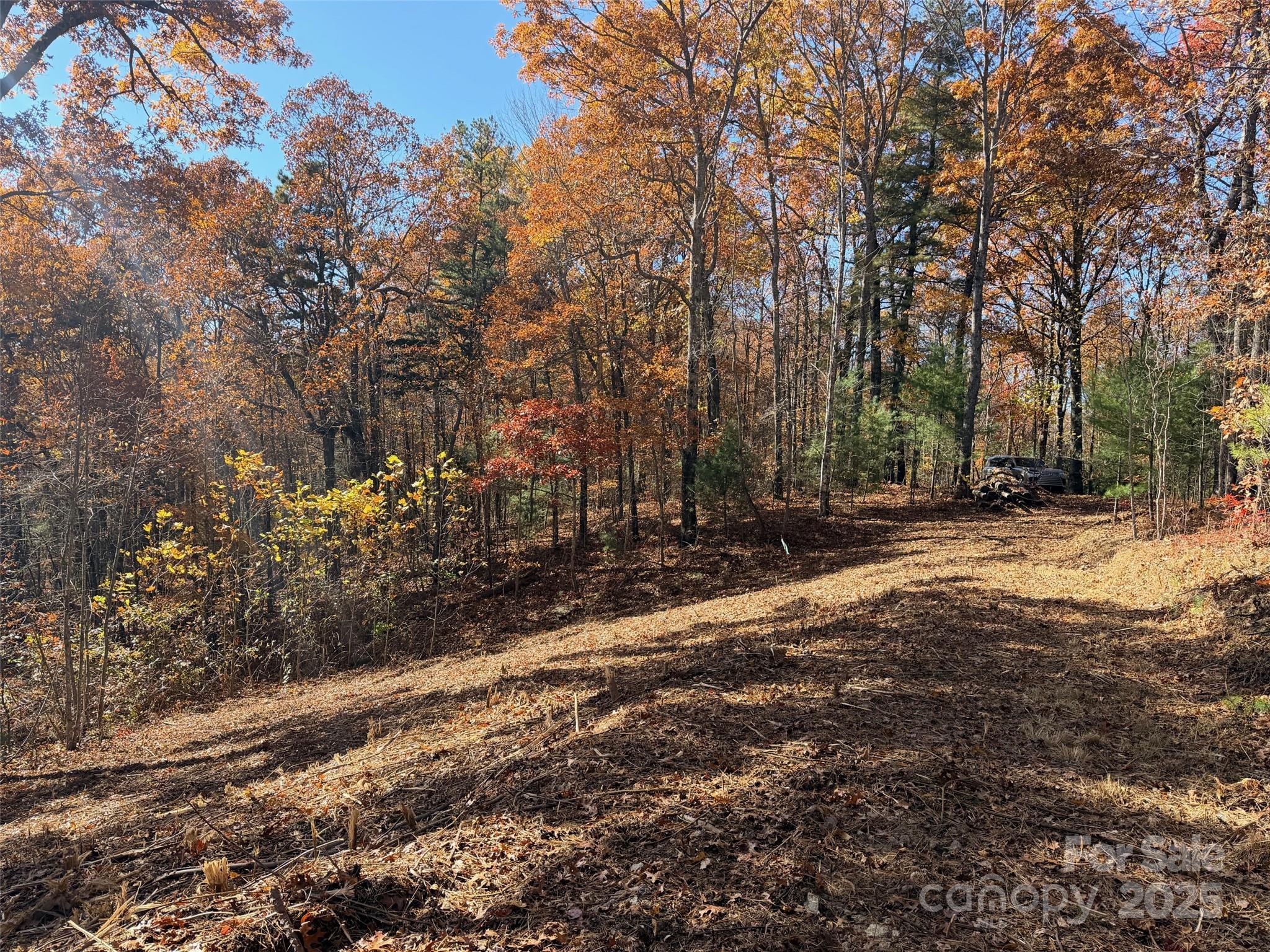130 Brown Bear Ridge Trail Property Photo 7