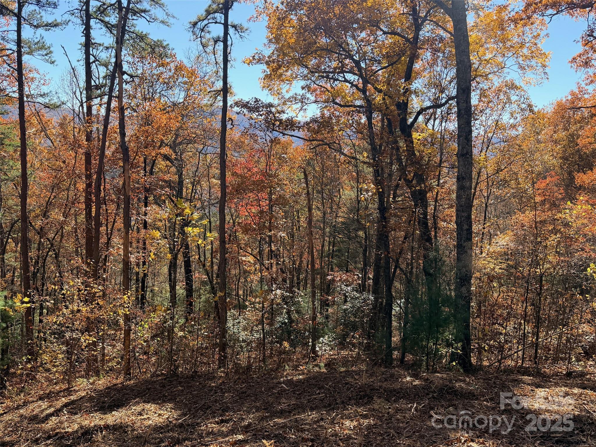 130 Brown Bear Ridge Trail Property Photo 8