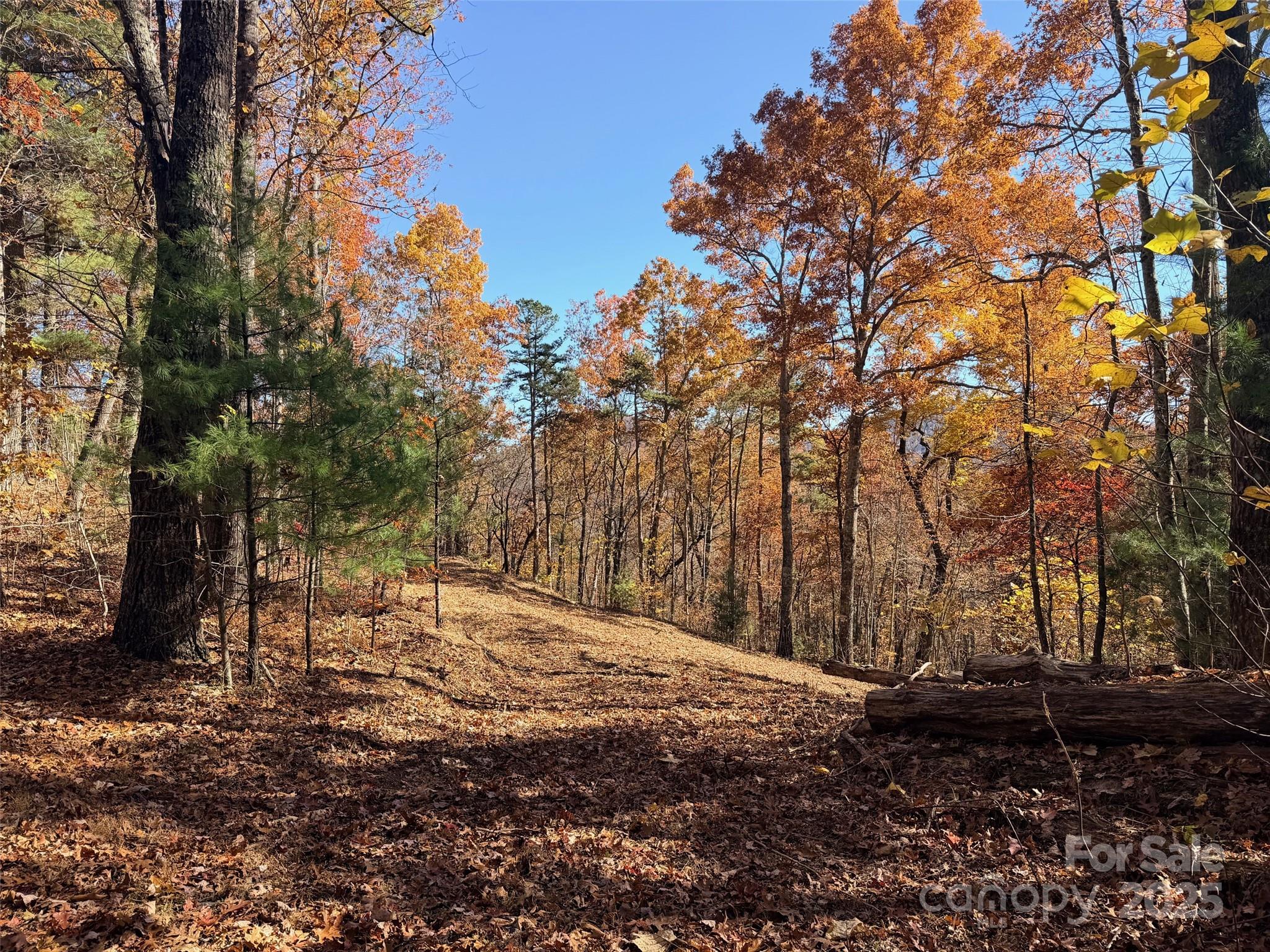 130 Brown Bear Ridge Trail Property Photo 9