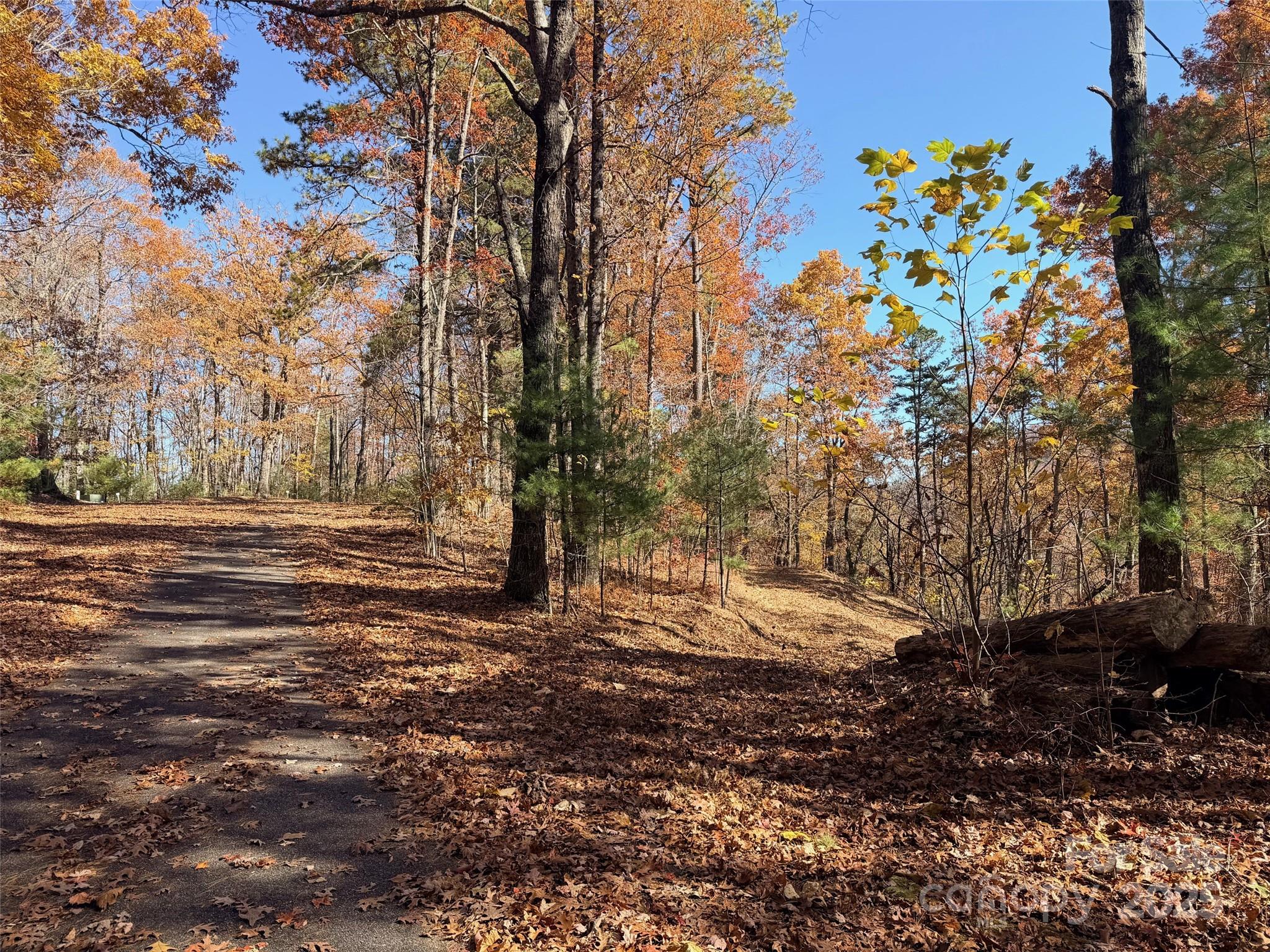 130 Brown Bear Ridge Trail Property Photo 10