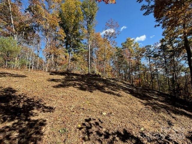 130 Brown Bear Ridge Trail Property Photo 11