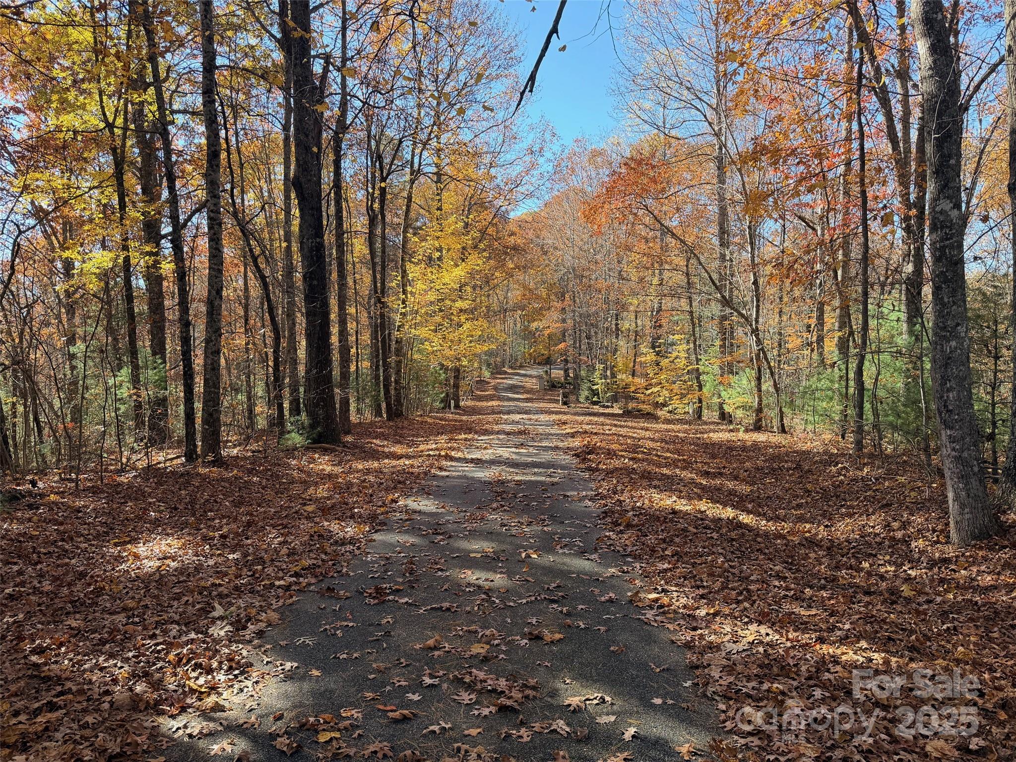 130 Brown Bear Ridge Trail Property Photo 12