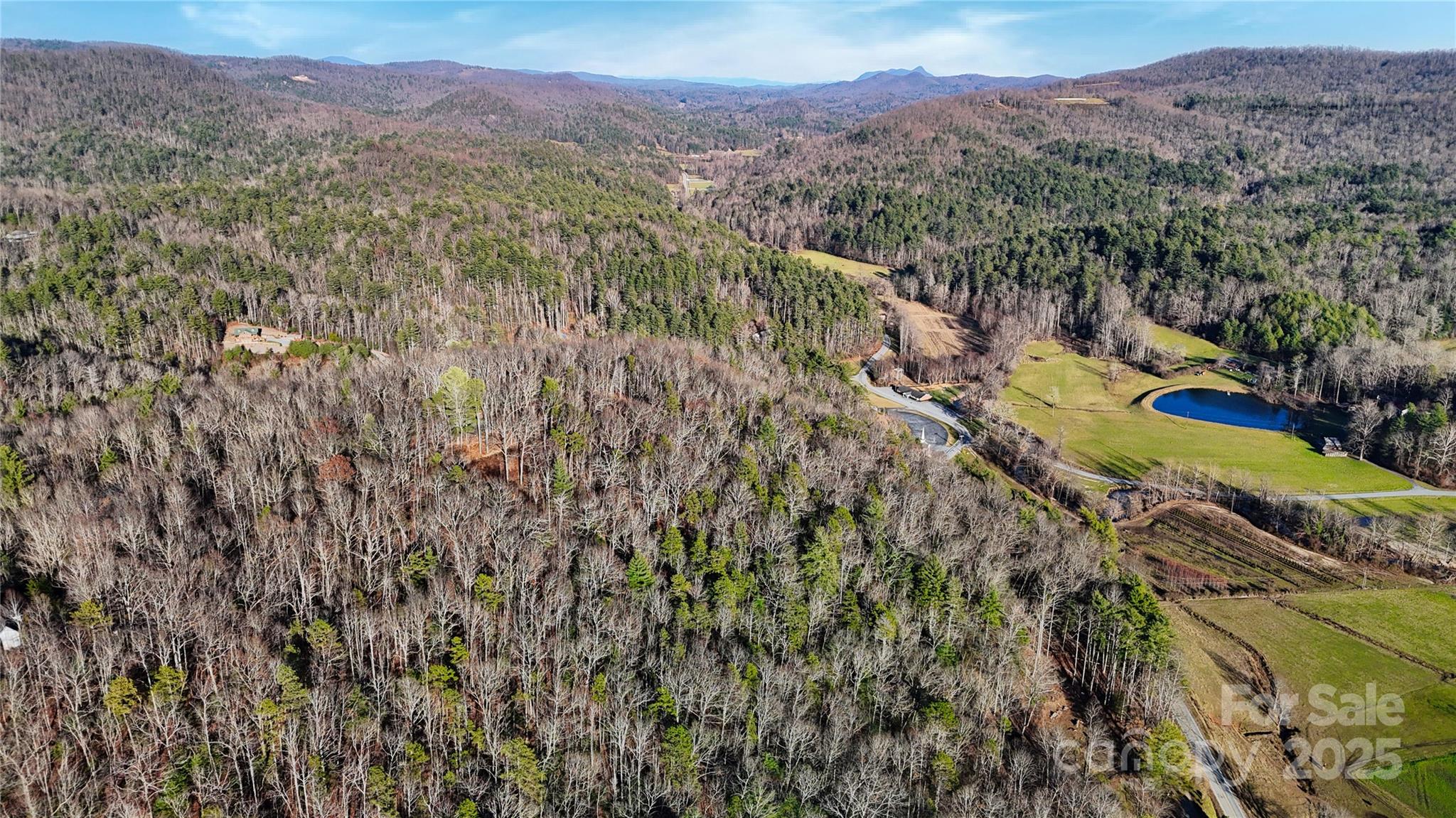 130 Brown Bear Ridge Trail Property Photo 17