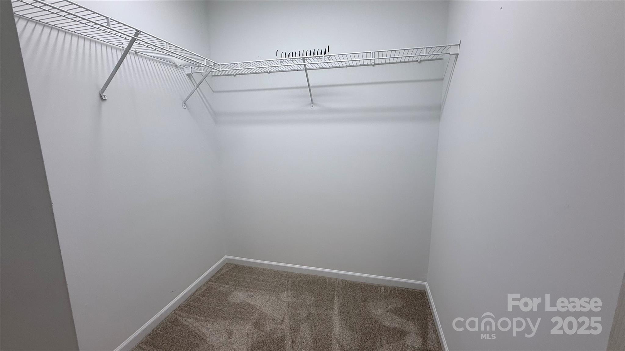 12571 Bluestem Lane Property Photo 10