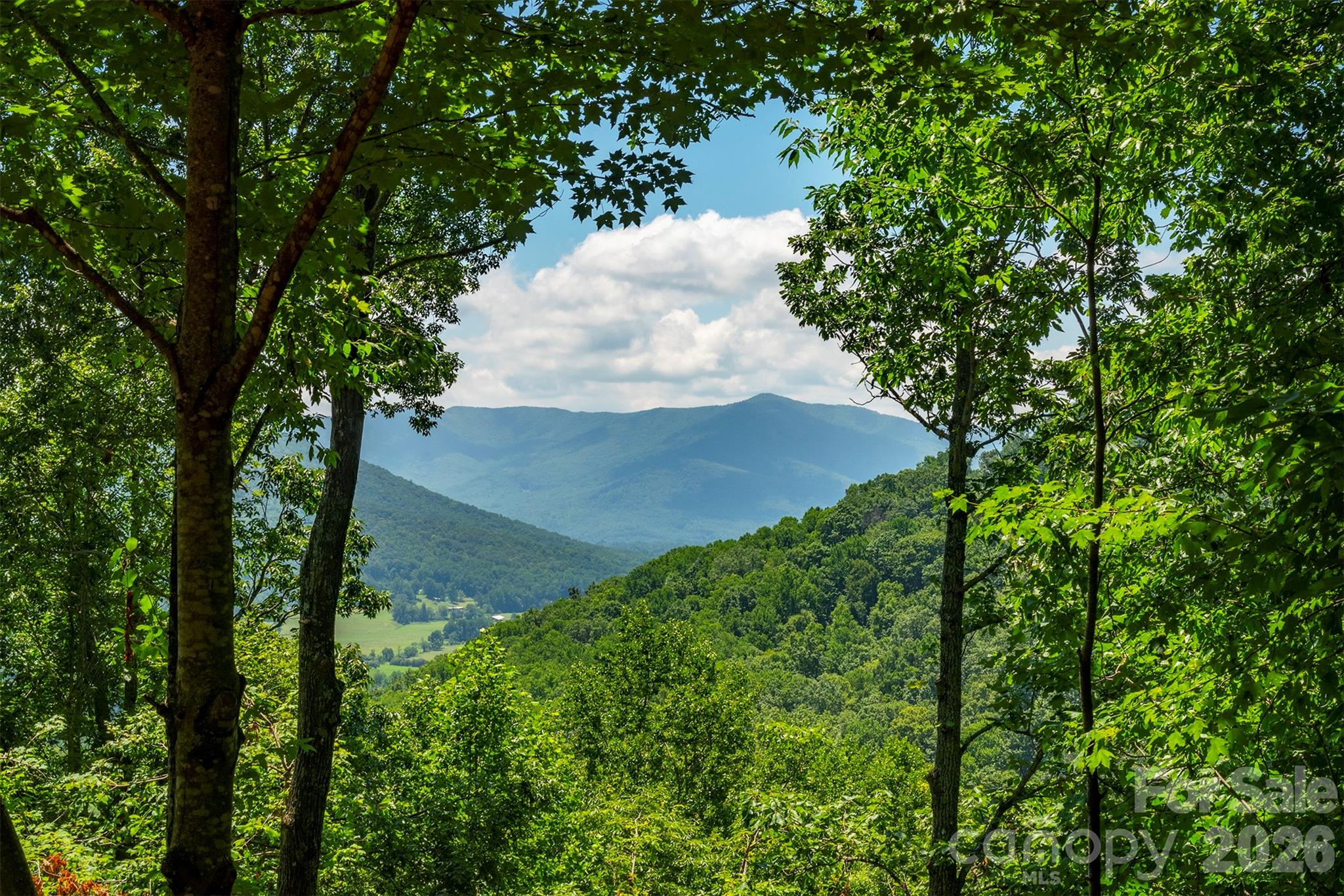 7 Winding Poplar Road Property Photo 6
