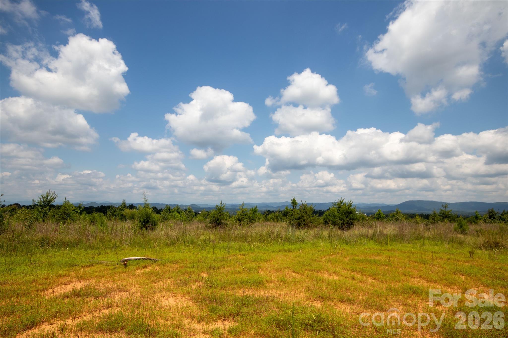 Tbd Hickory Boulevard 18 & 20 Property Photo 1