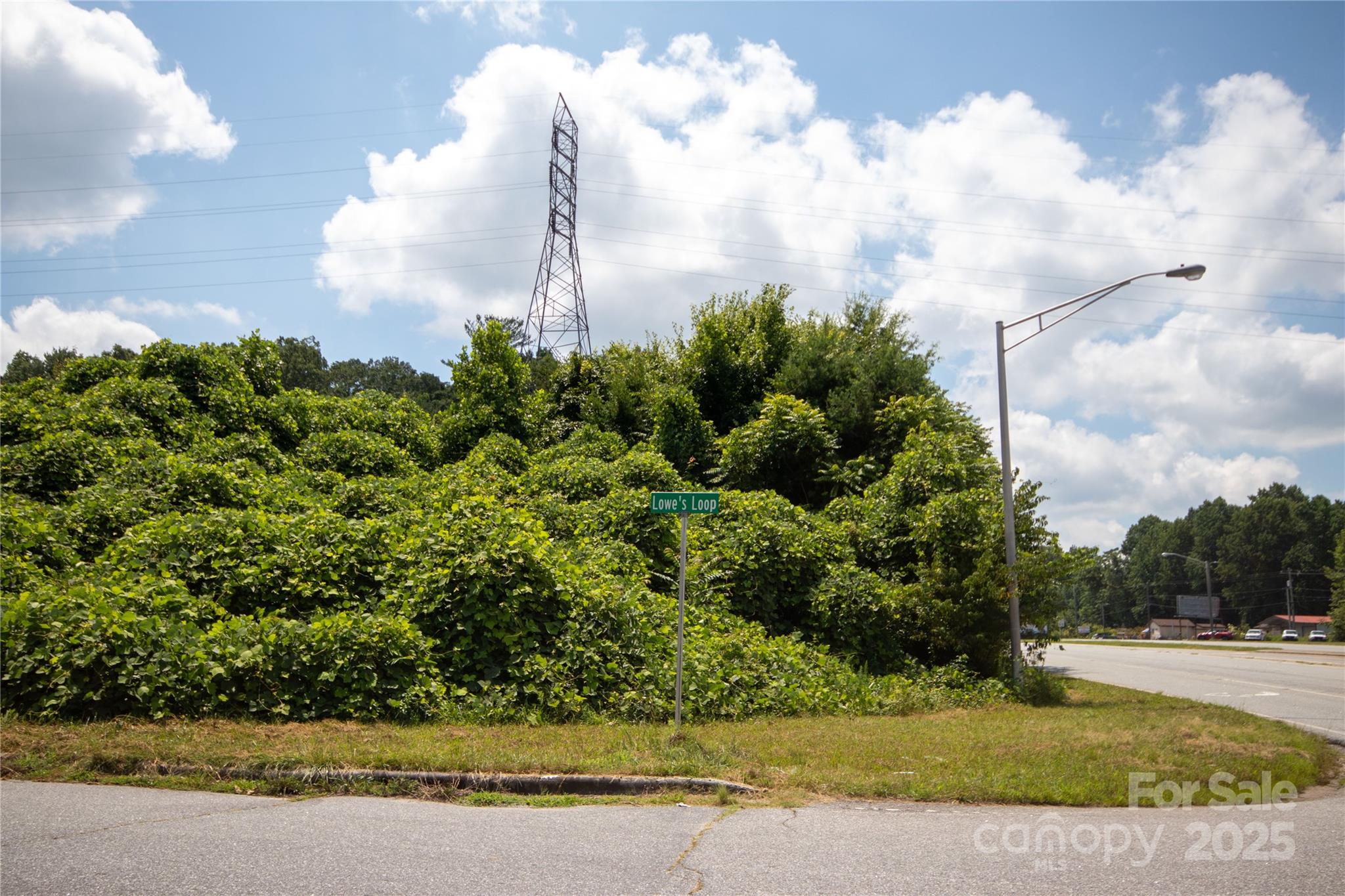 Tbd Hickory Boulevard 18 & 20 Property Photo 16