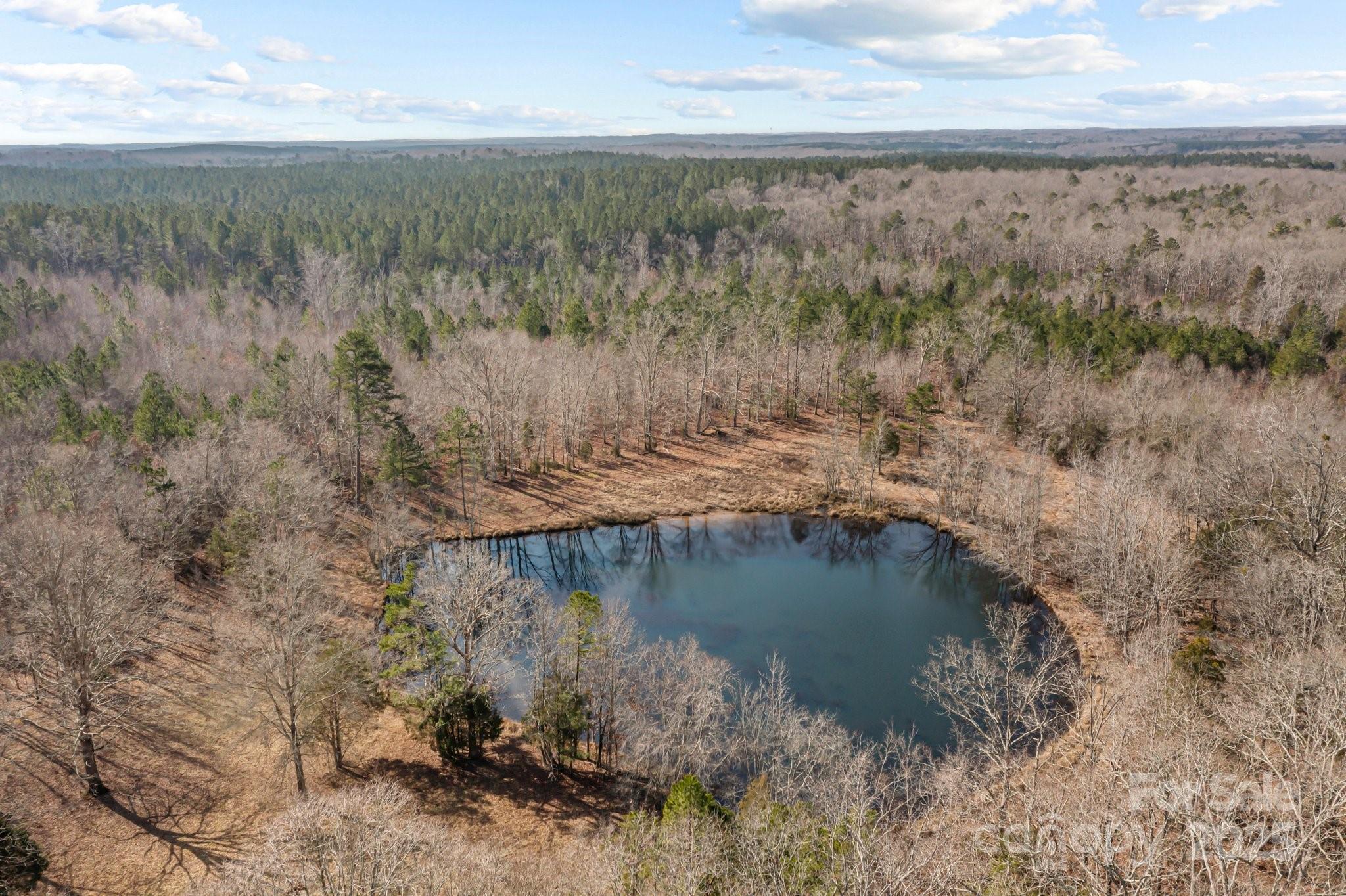 11745 Stokes Ferry Road Property Photo 7