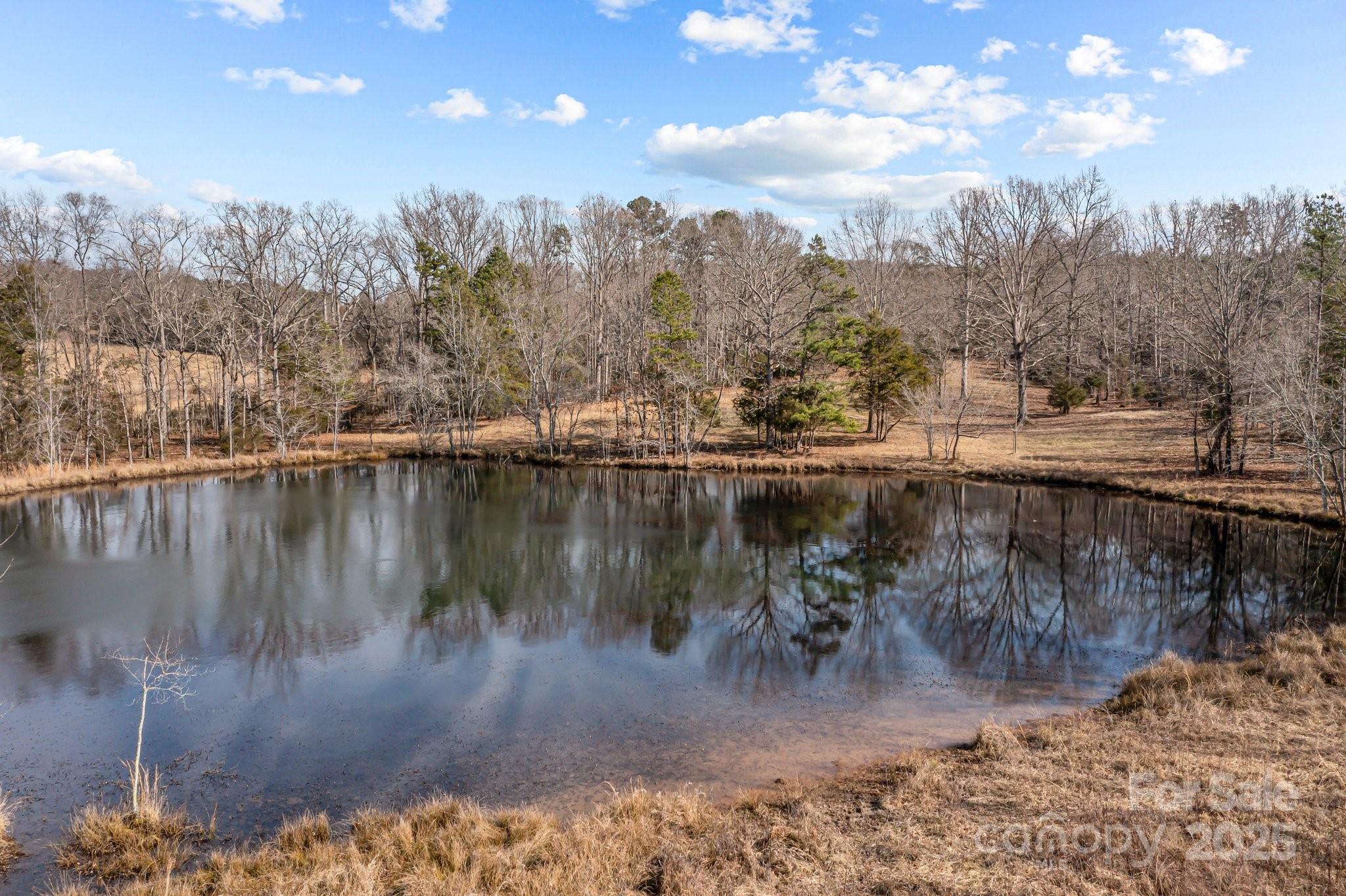 11745 Stokes Ferry Road Property Photo 9