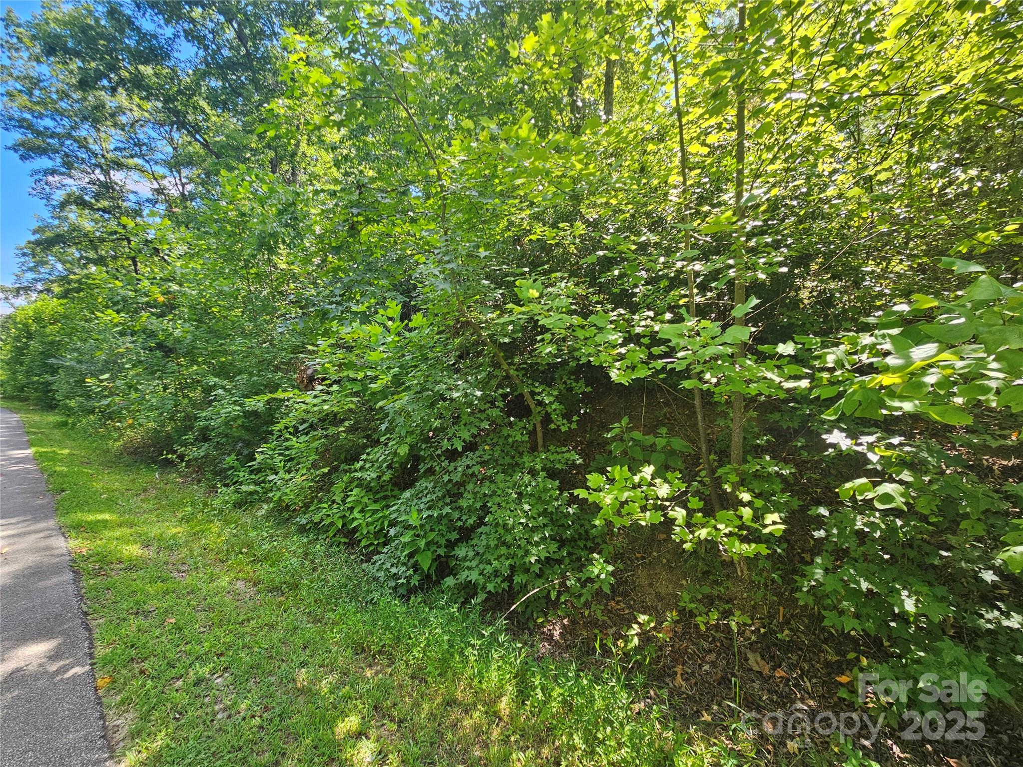 Lot 40 Walkaloosa Way Property Photo 1