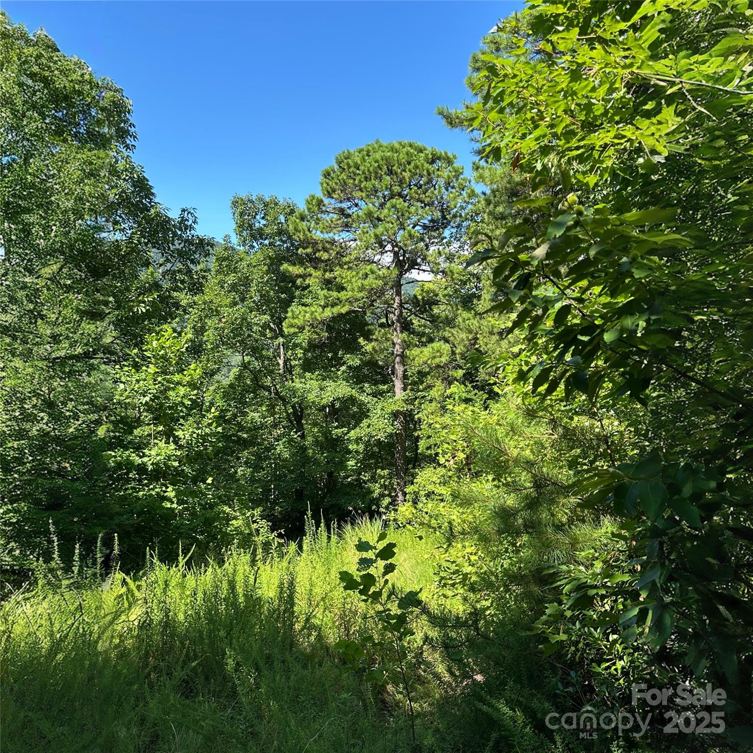 33 Nuthatch Lane T-84 Property Photo 5