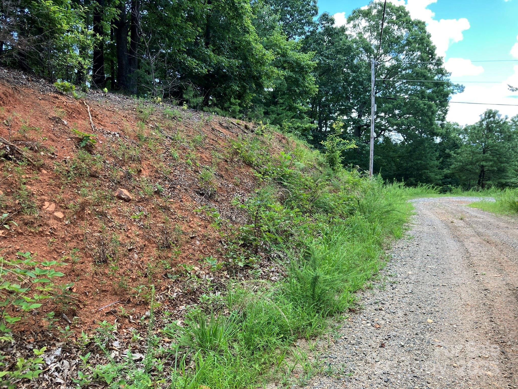 00 Roberts Trail Lot 429 Property Photo 3