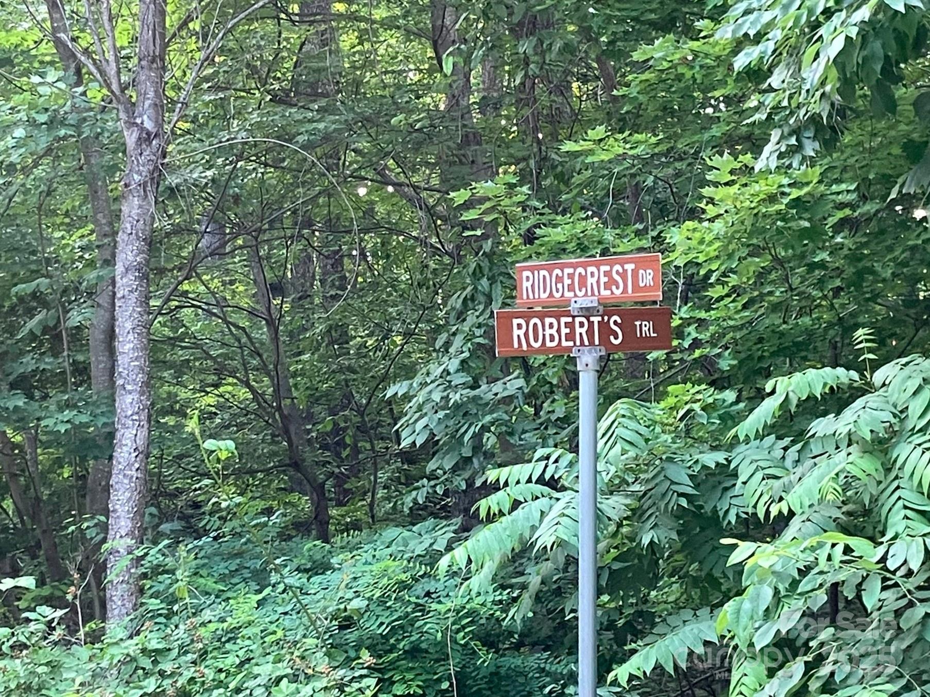 00 Roberts Trail Lot 429 Property Photo 4