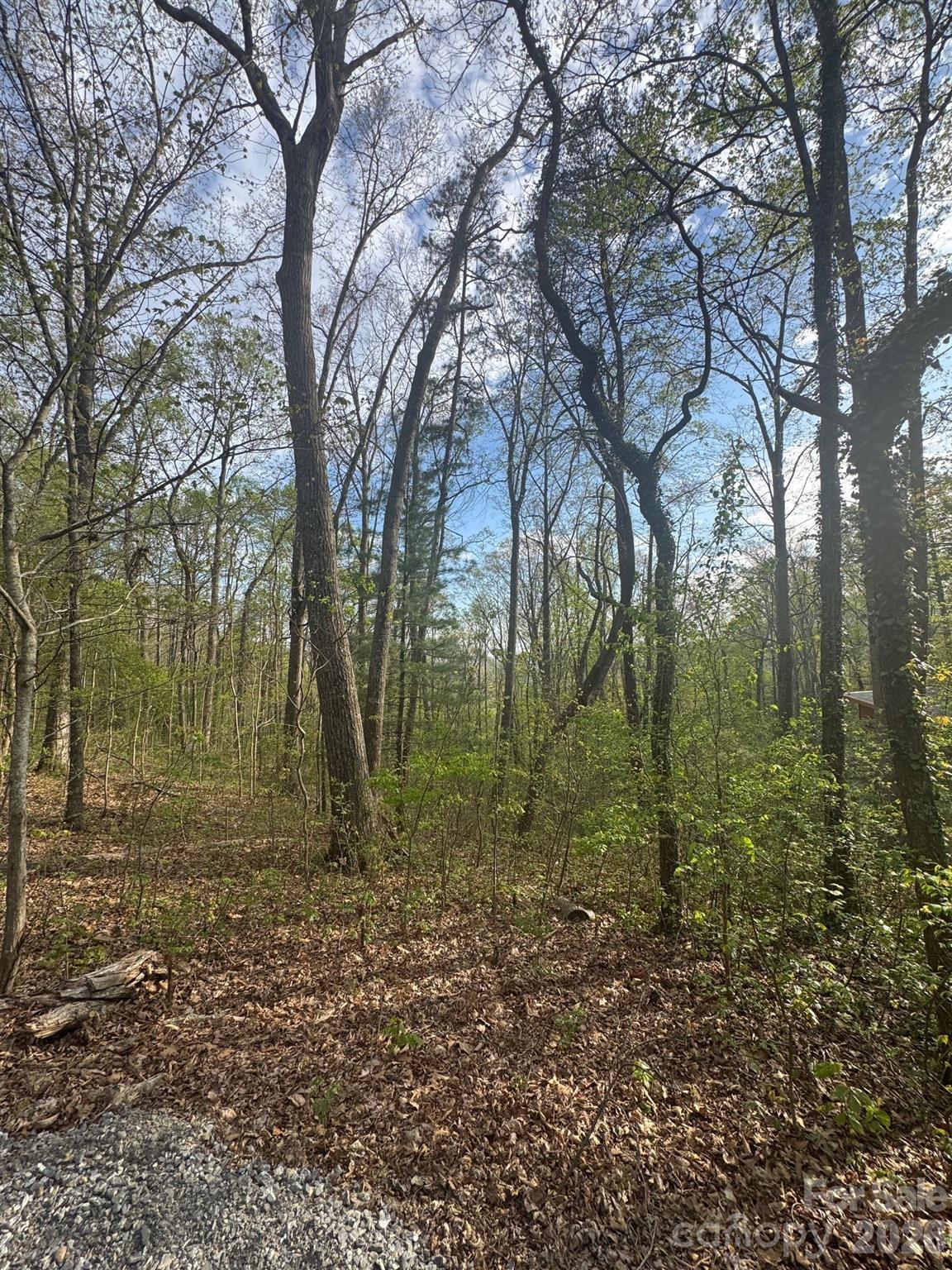 99999 Buffalo Trail 86 Property Photo 1