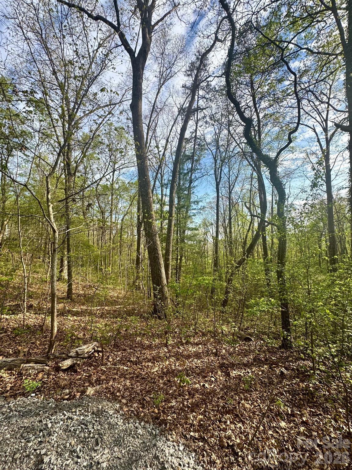 99999 Buffalo Trail 86 Property Photo 2