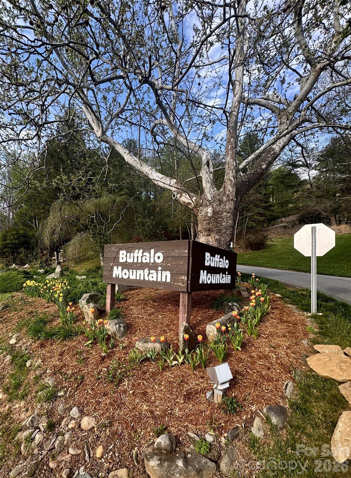 99999 Buffalo Trail 86 Property Photo 3
