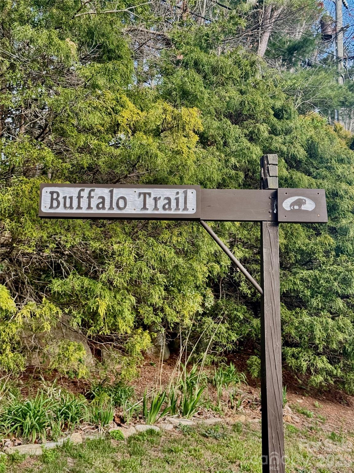 99999 Buffalo Trail 86 Property Photo 4