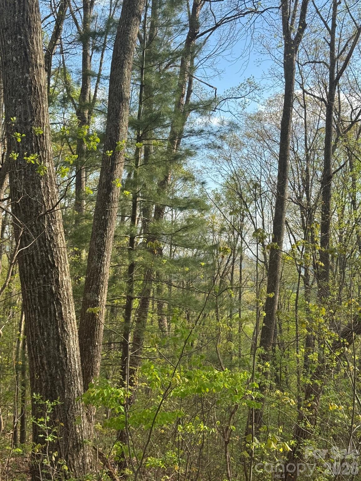 99999 Buffalo Trail 86 Property Photo 6