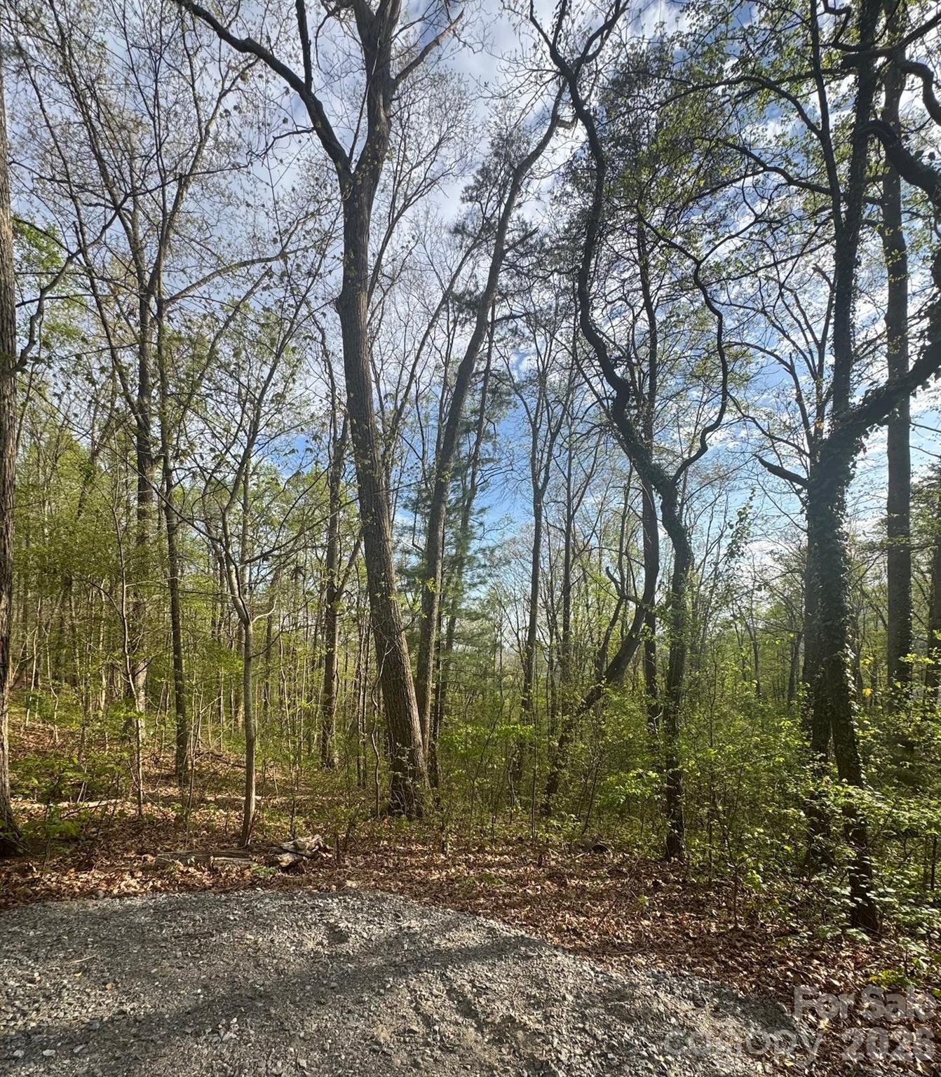 99999 Buffalo Trail 86 Property Photo 7