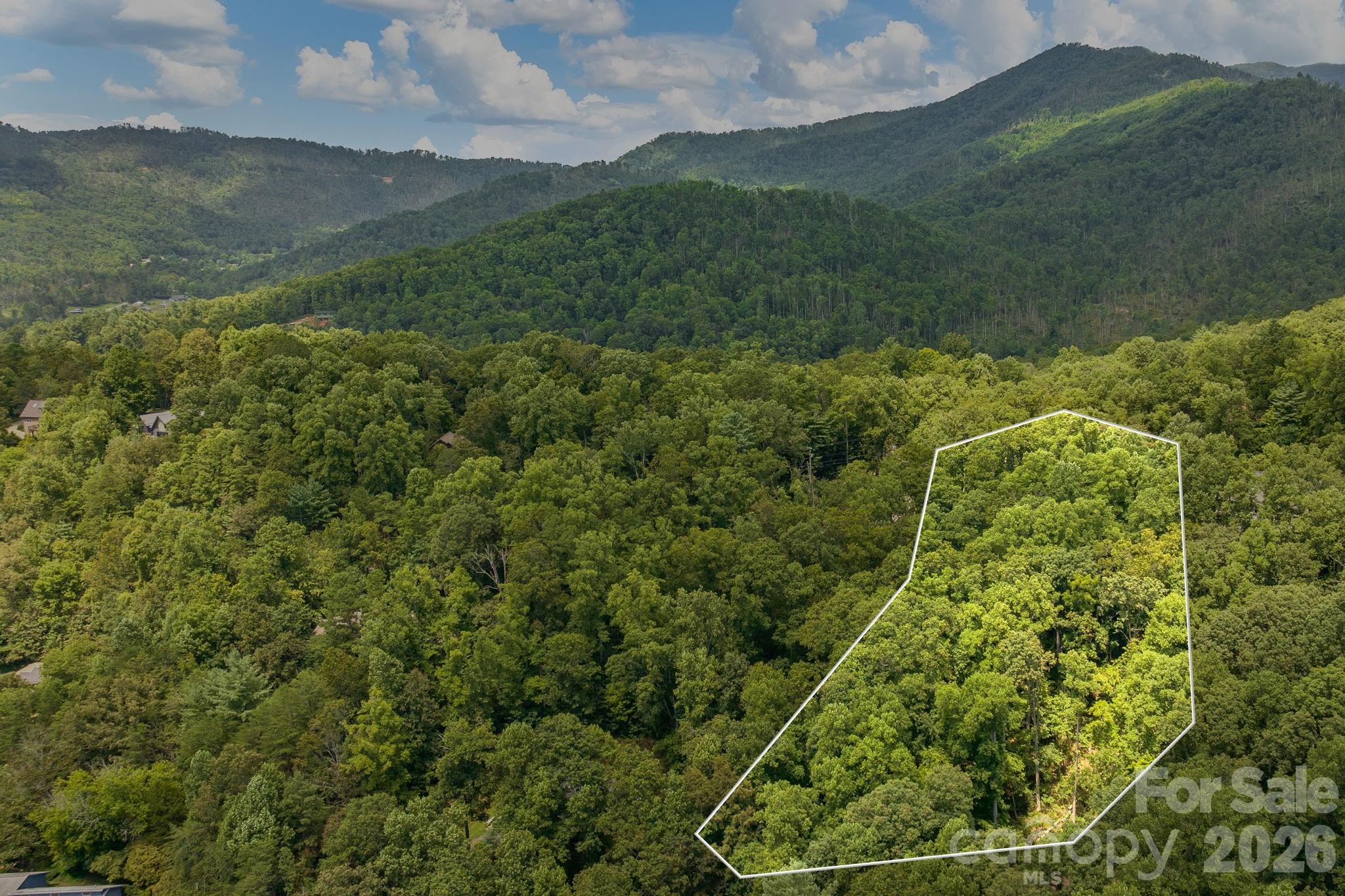 99999 Buffalo Trail 86 Property Photo 8