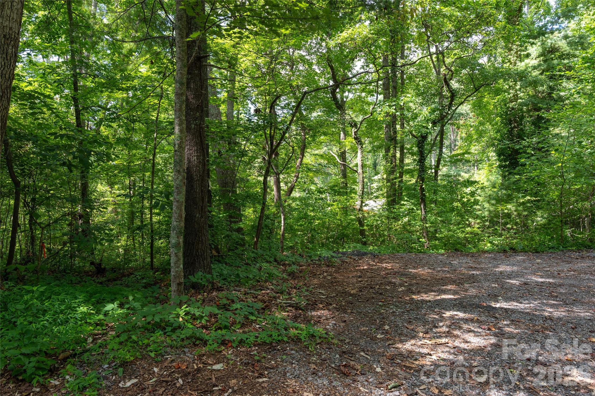 99999 Buffalo Trail 86 Property Photo 10