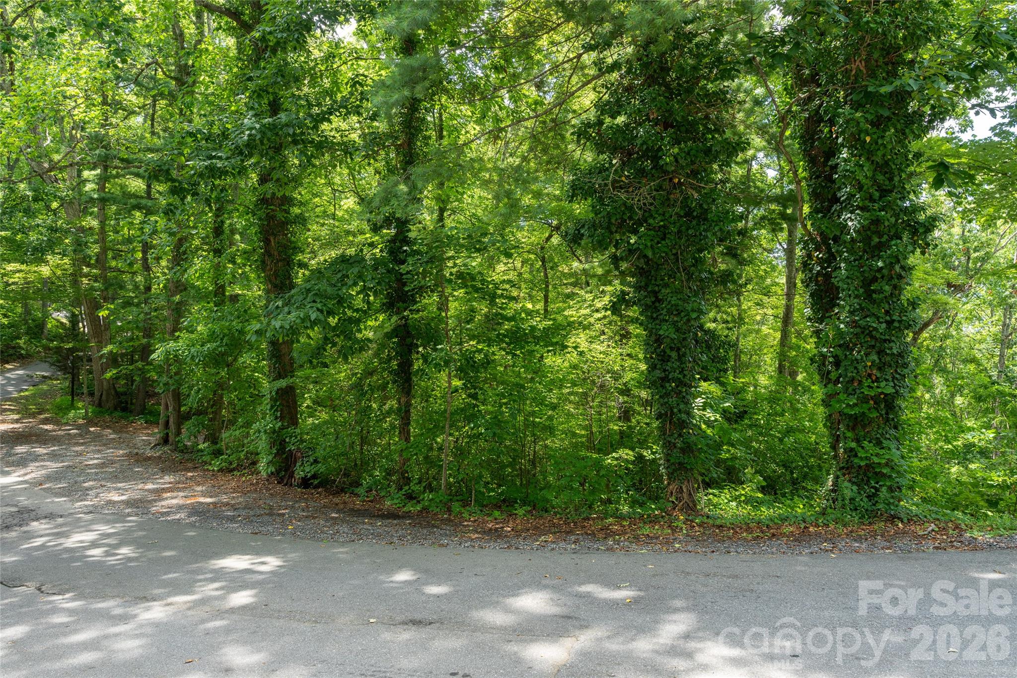 99999 Buffalo Trail 86 Property Photo 11